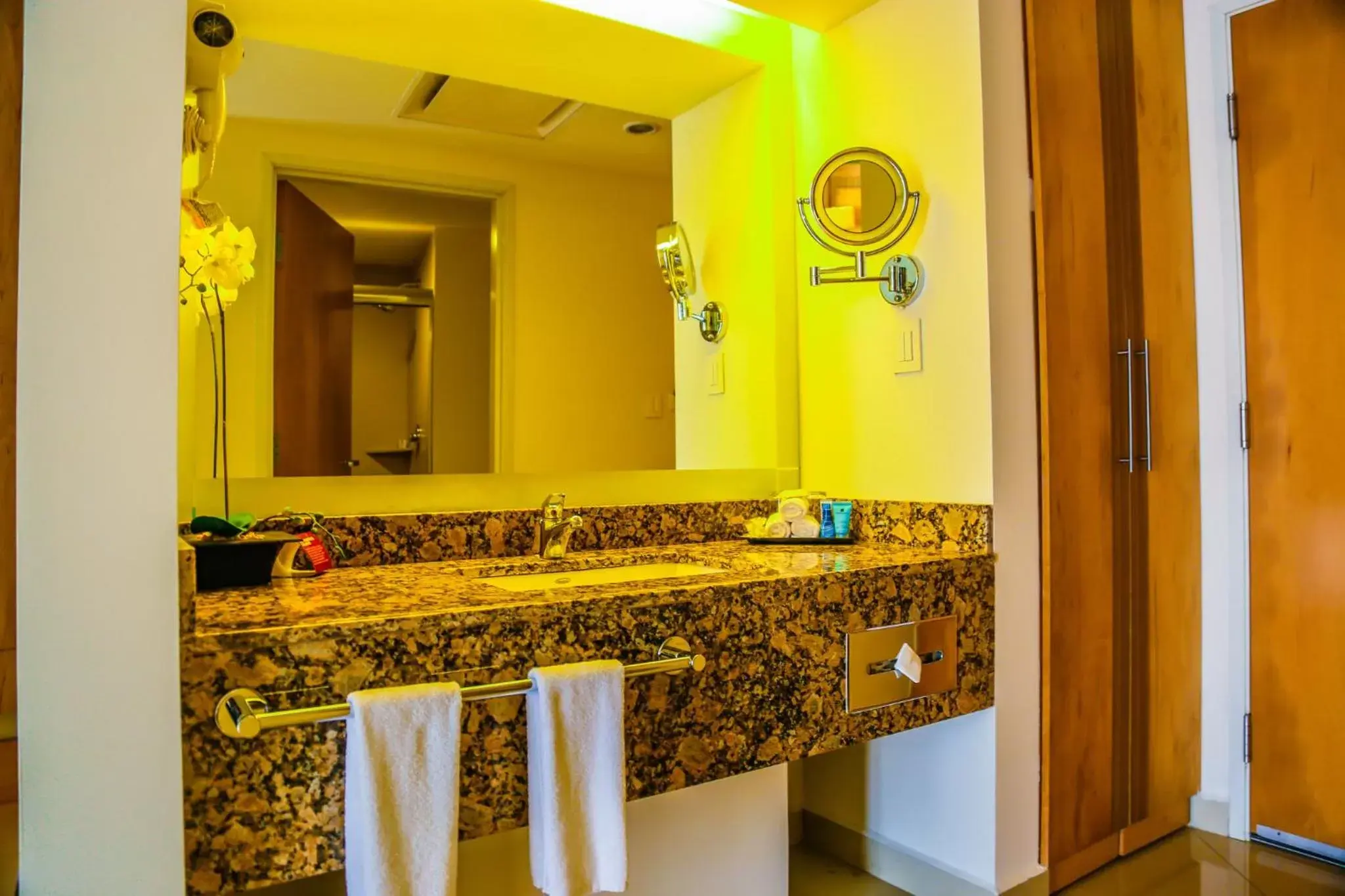 Photo of the whole room, Bathroom in Holiday Inn Tuxpan - Convention Center, an IHG Hotel