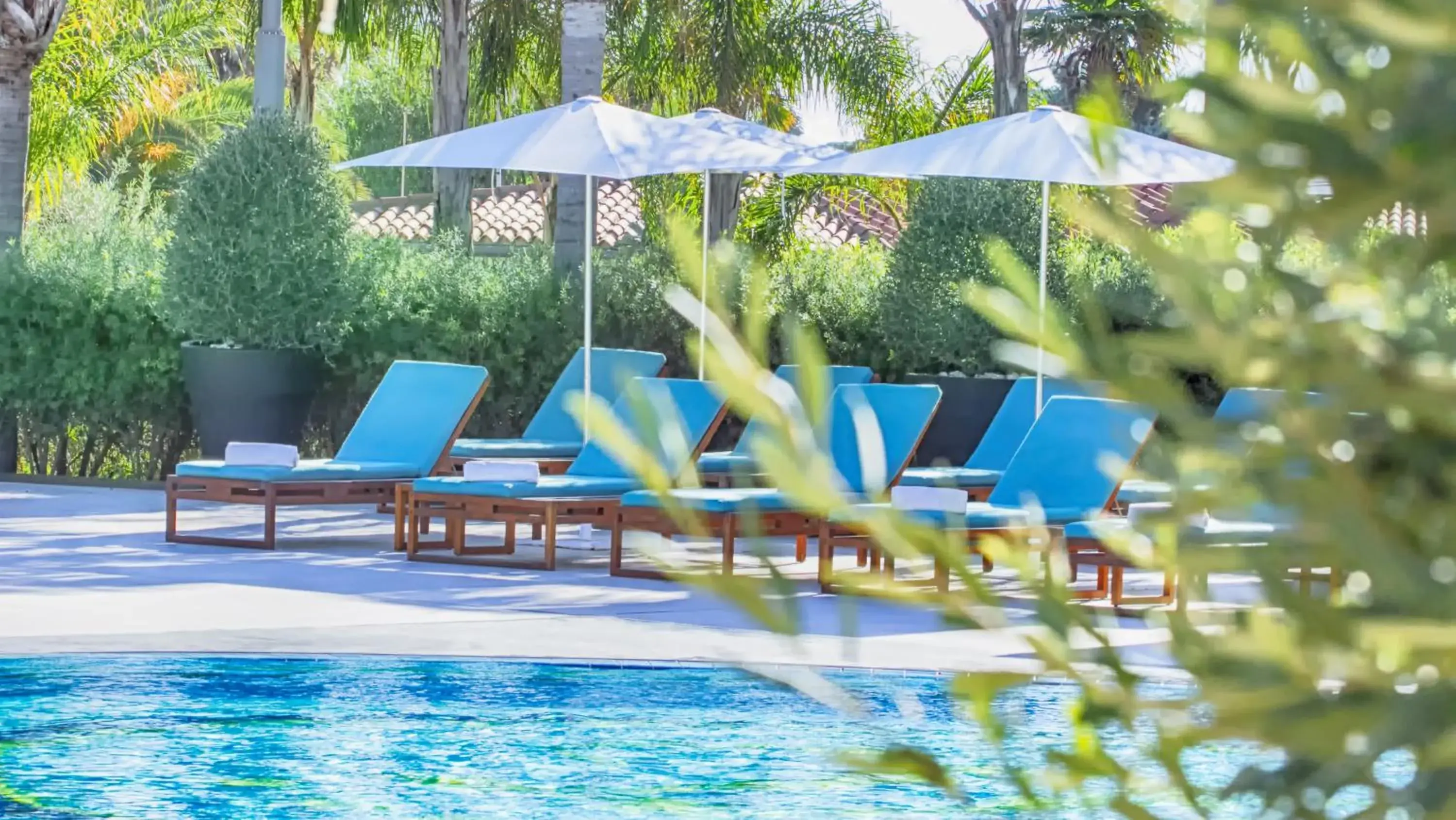 Swimming Pool in Grand Hotel Minareto