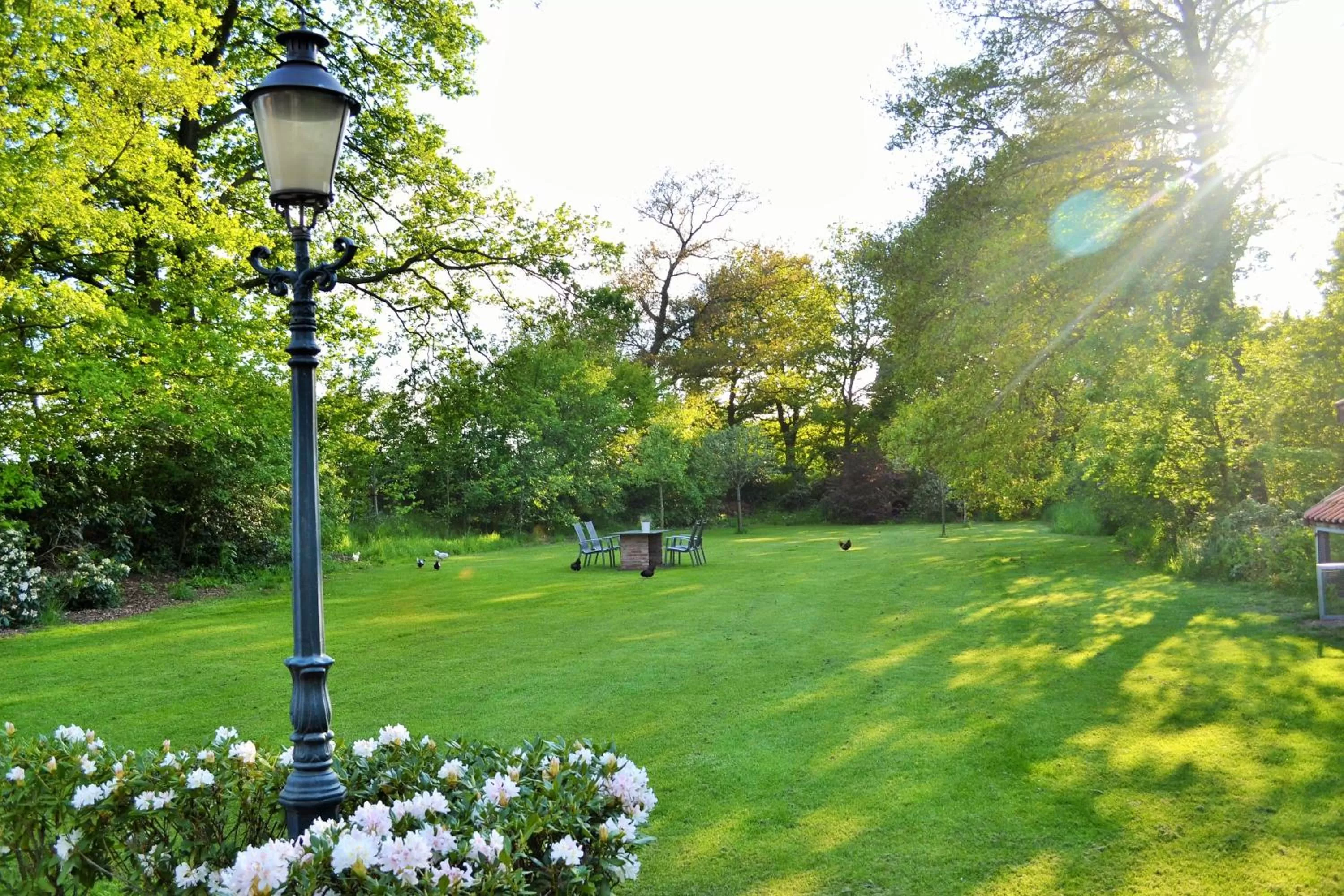 Garden in B&B Gastvrij Lenthe