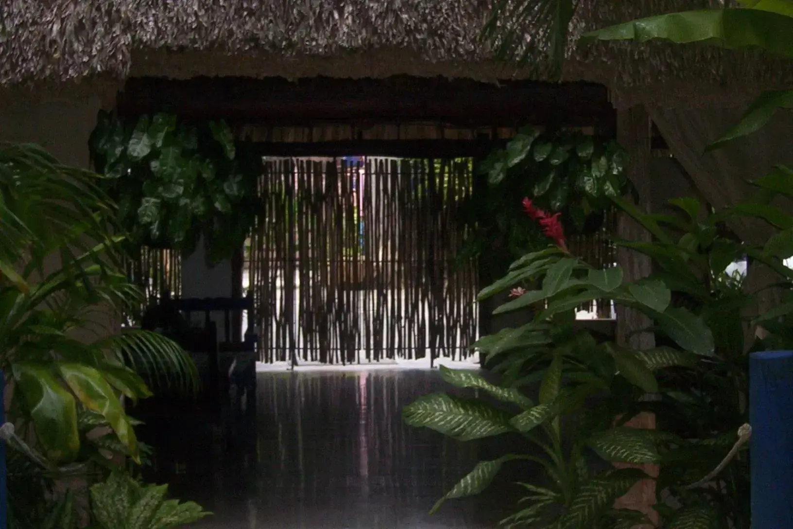 Garden view in Posada El Jardin