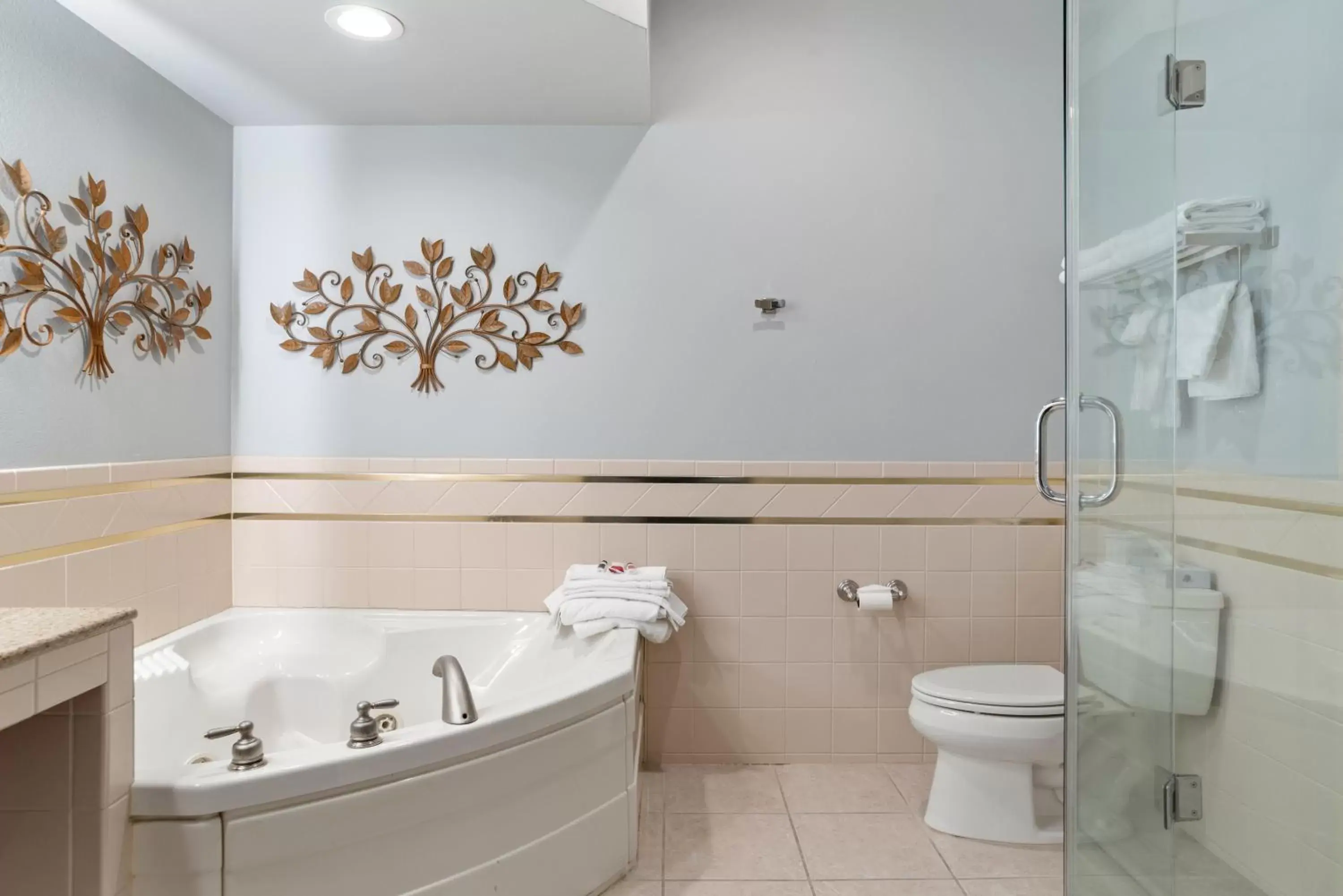 Bathroom in Howard Johnson by Wyndham Rapid City