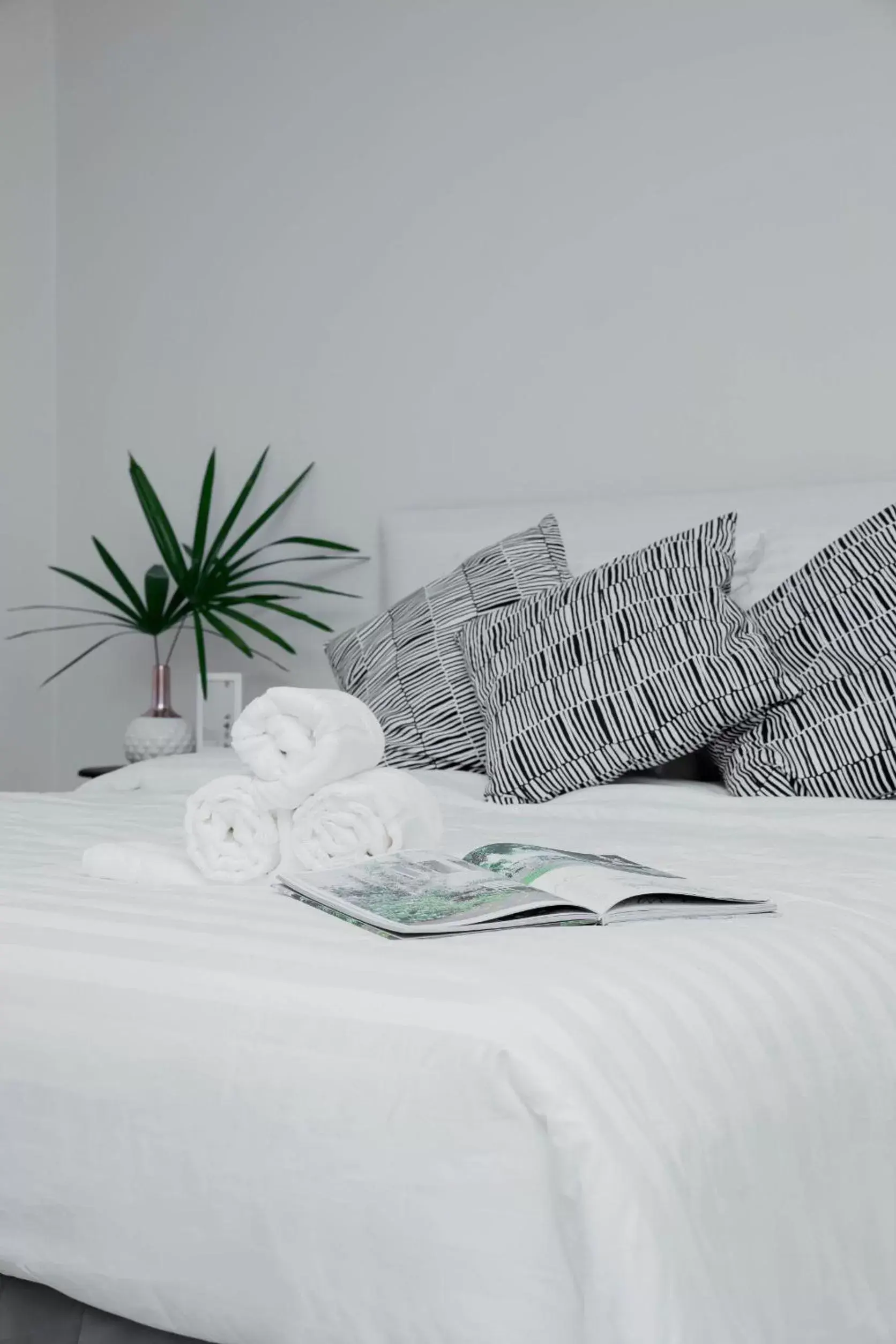 Small Double Room in Momda Resort @Ranong Small Double Room in Momda Resort @Ranong