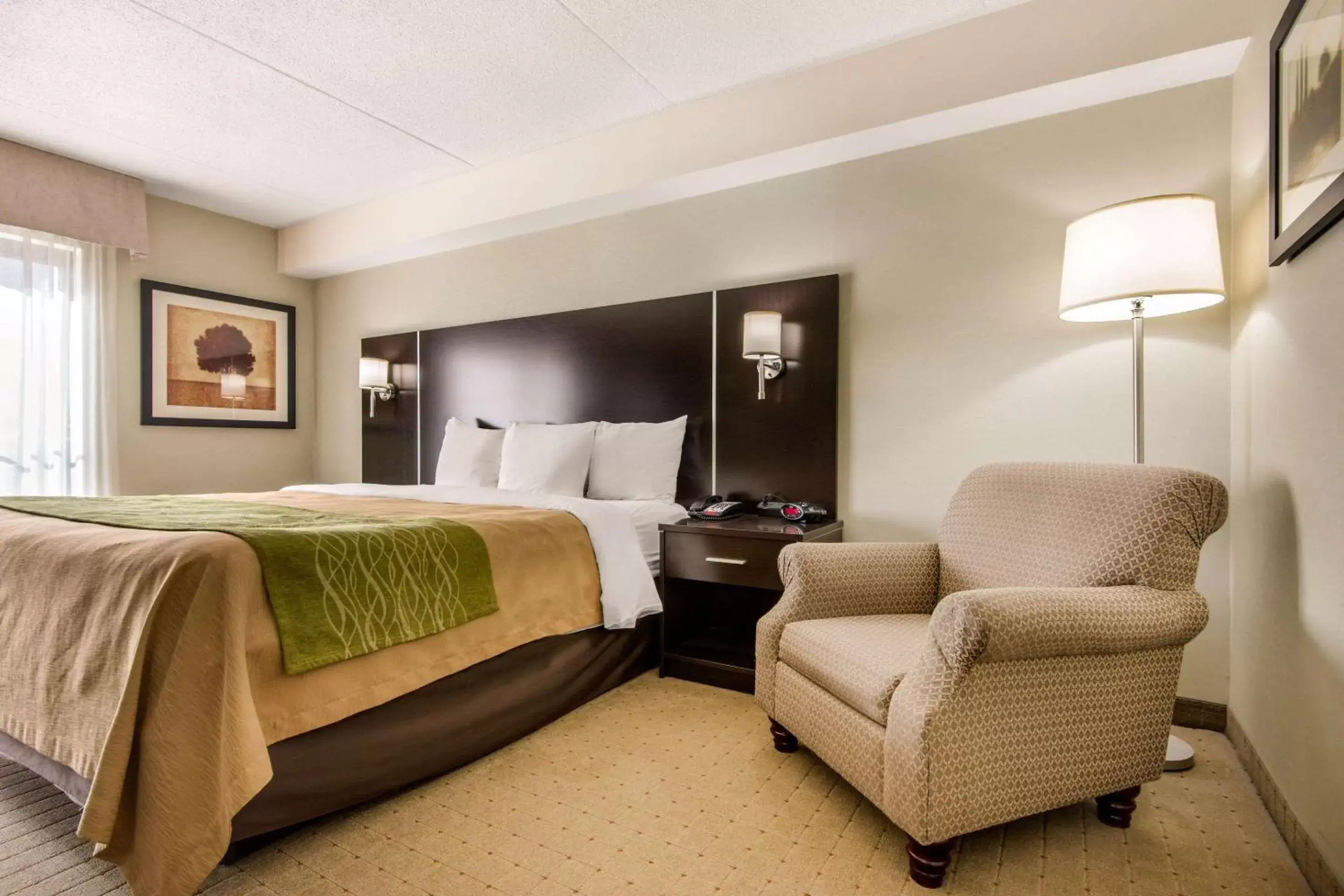 Photo of the whole room, Bed in Comfort Inn Airport West