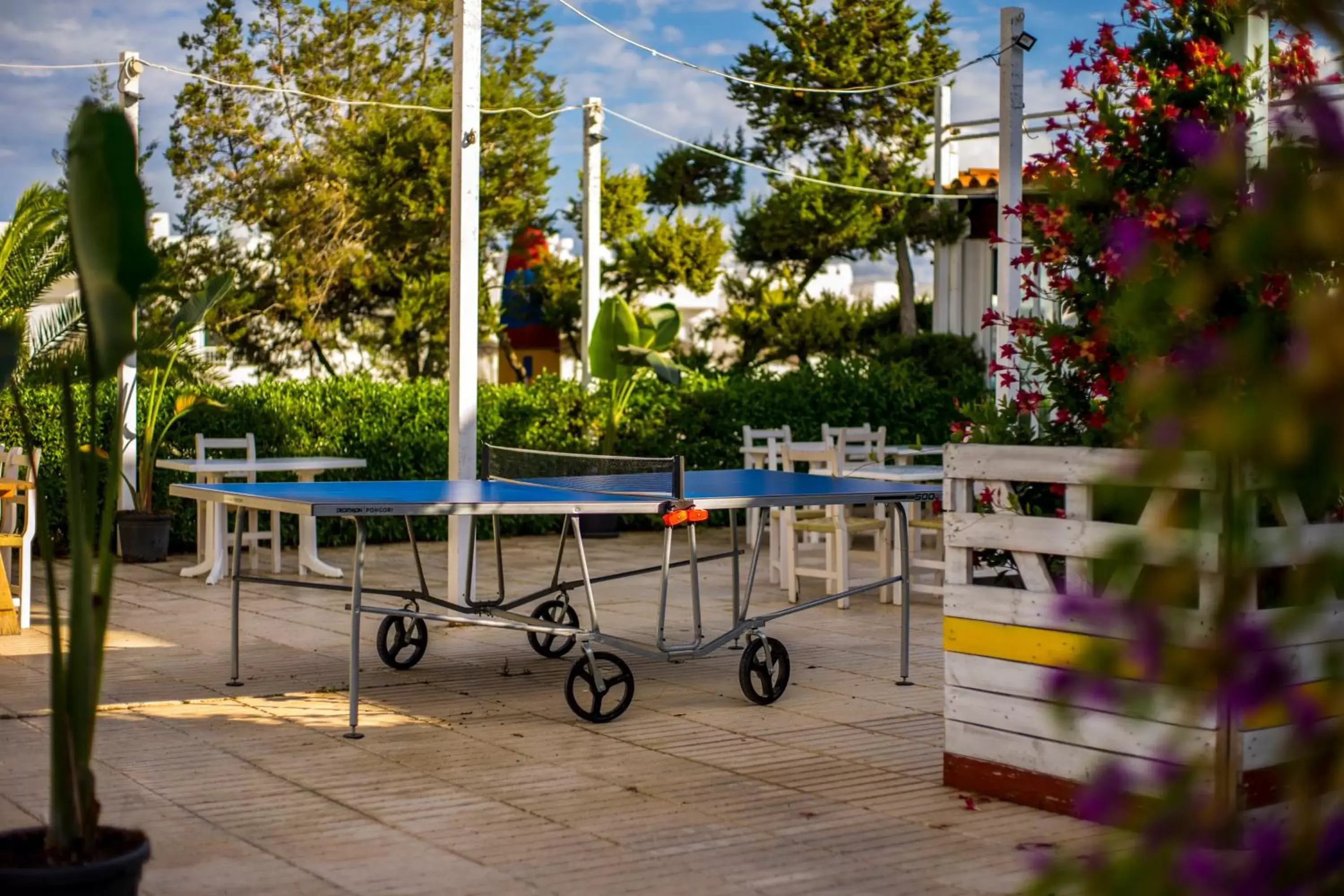 Garden, Swimming Pool in Camelina Suites - Formerly Torrent Bay