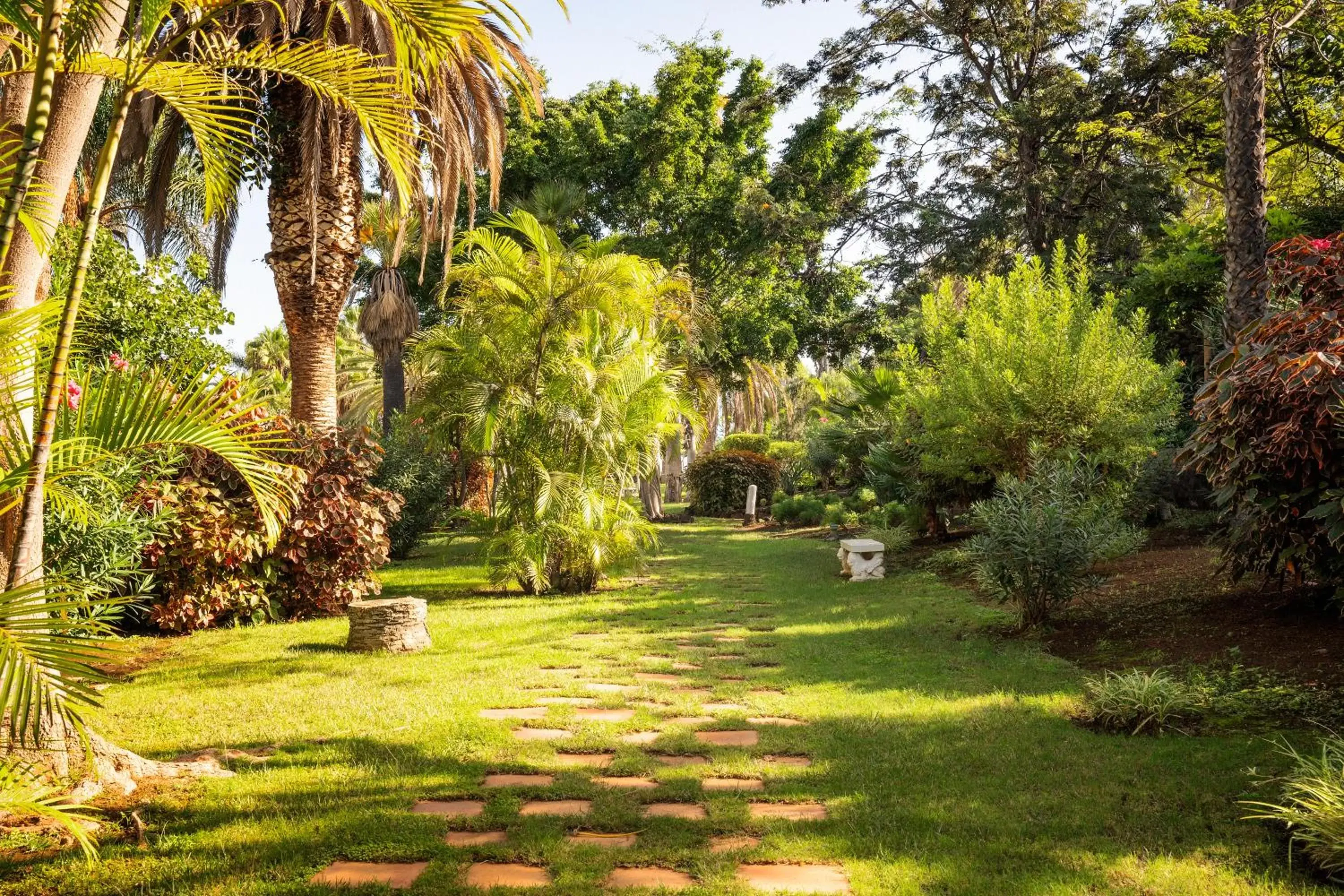 Garden in Precise Resort Tenerife