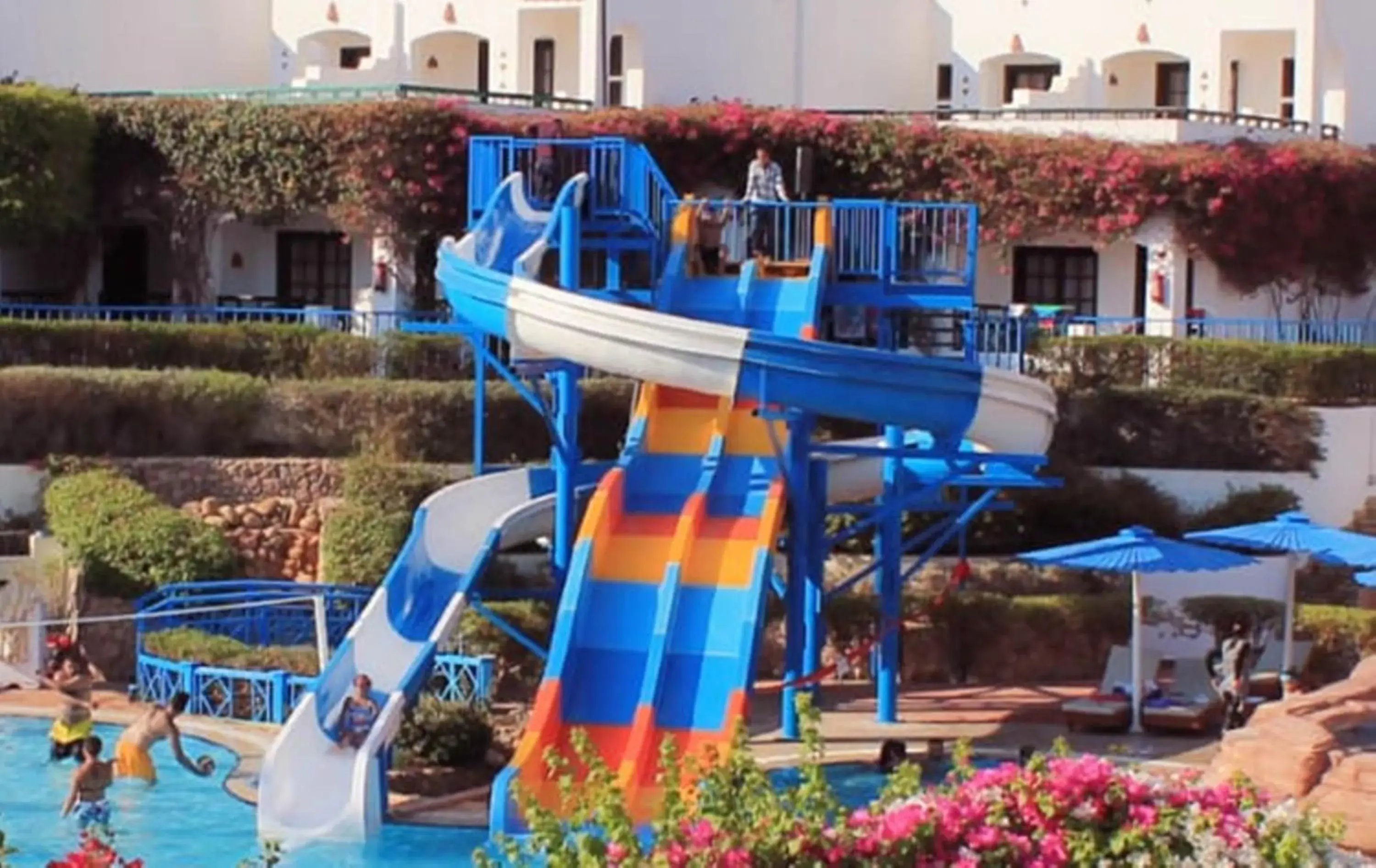 Aqua park, Water Park in Verginia Sharm Resort & Aqua Park