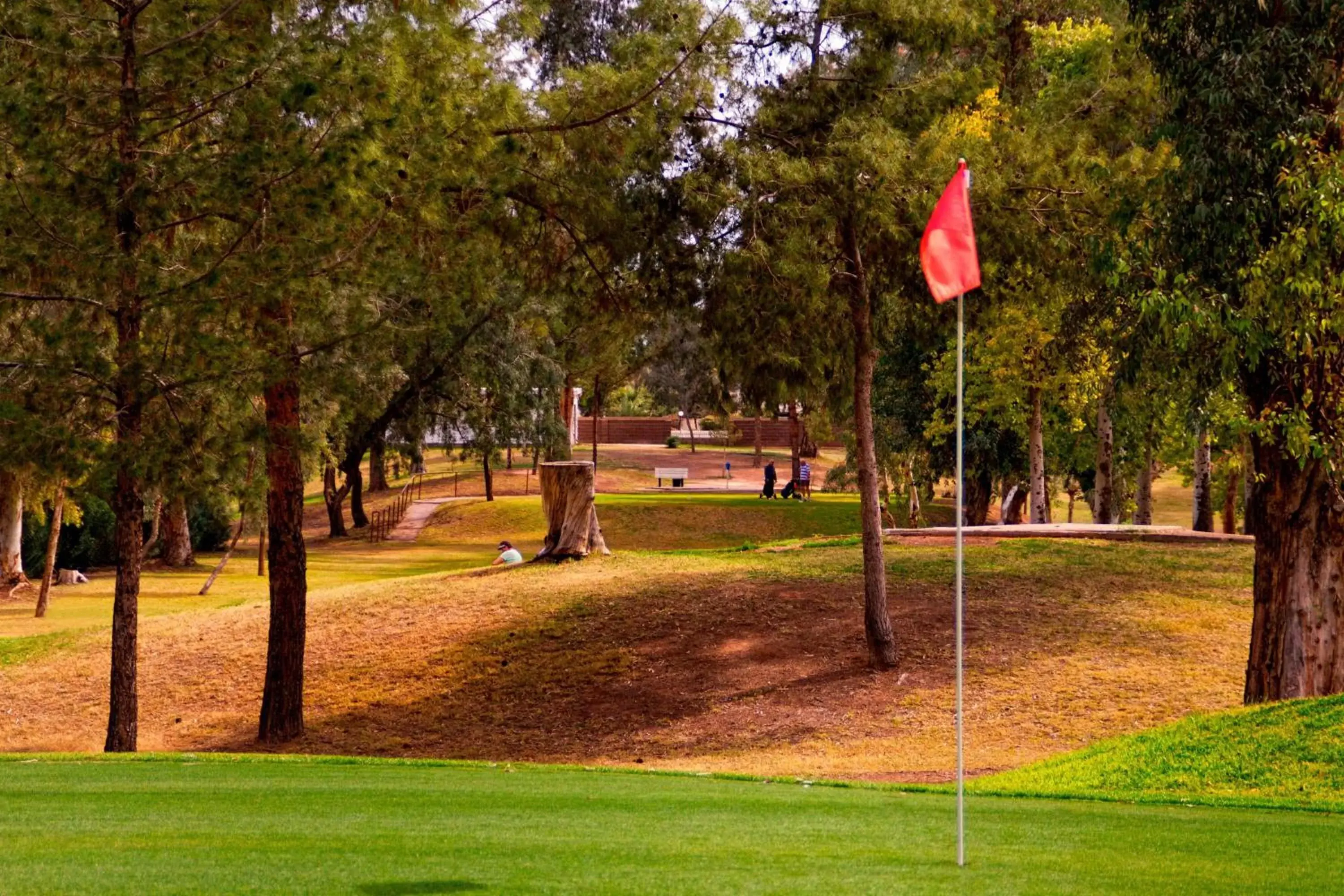 Golfcourse in Residence Inn Phoenix Mesa