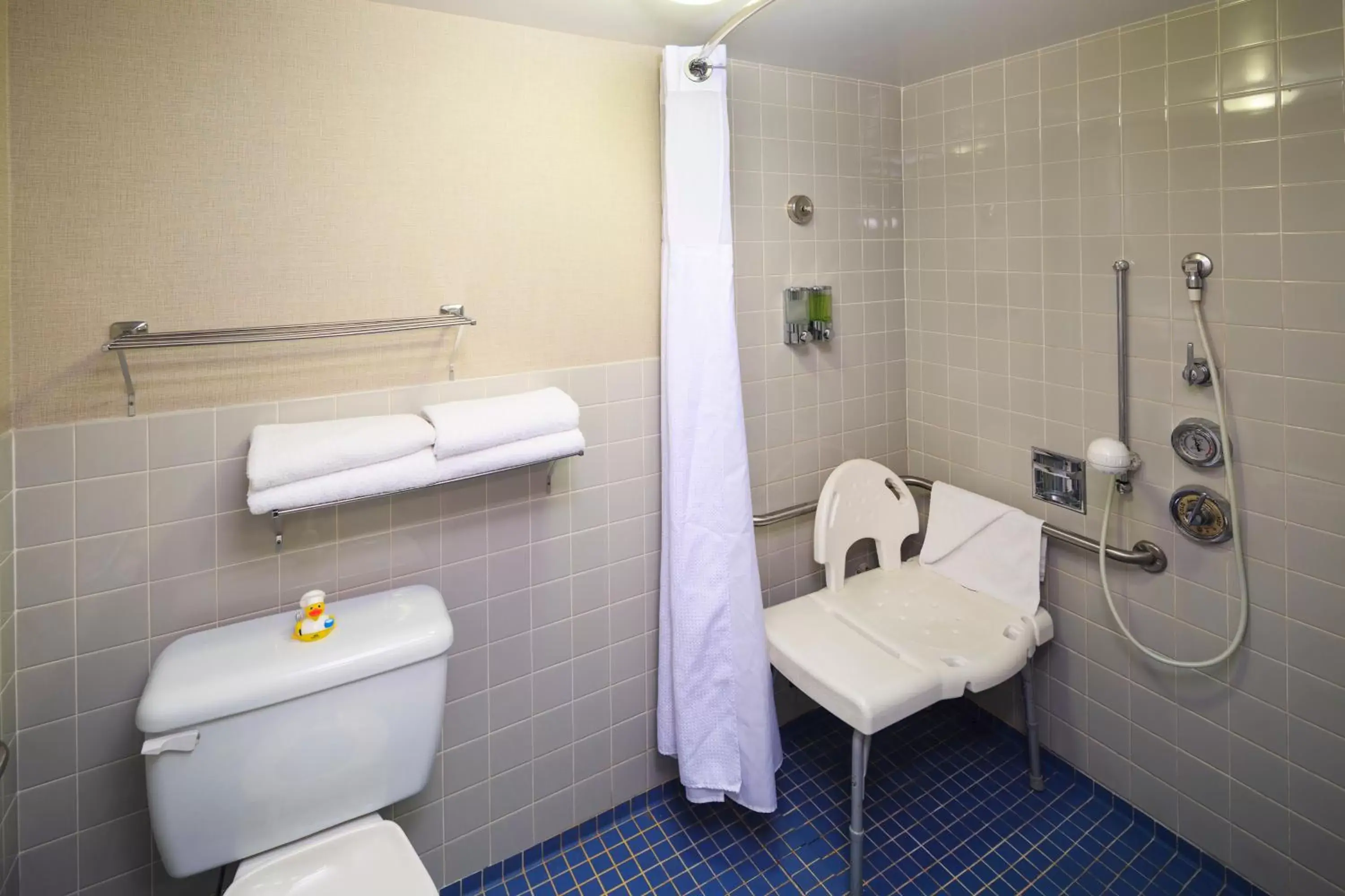 Shower, Bathroom in Accent Inns Burnaby