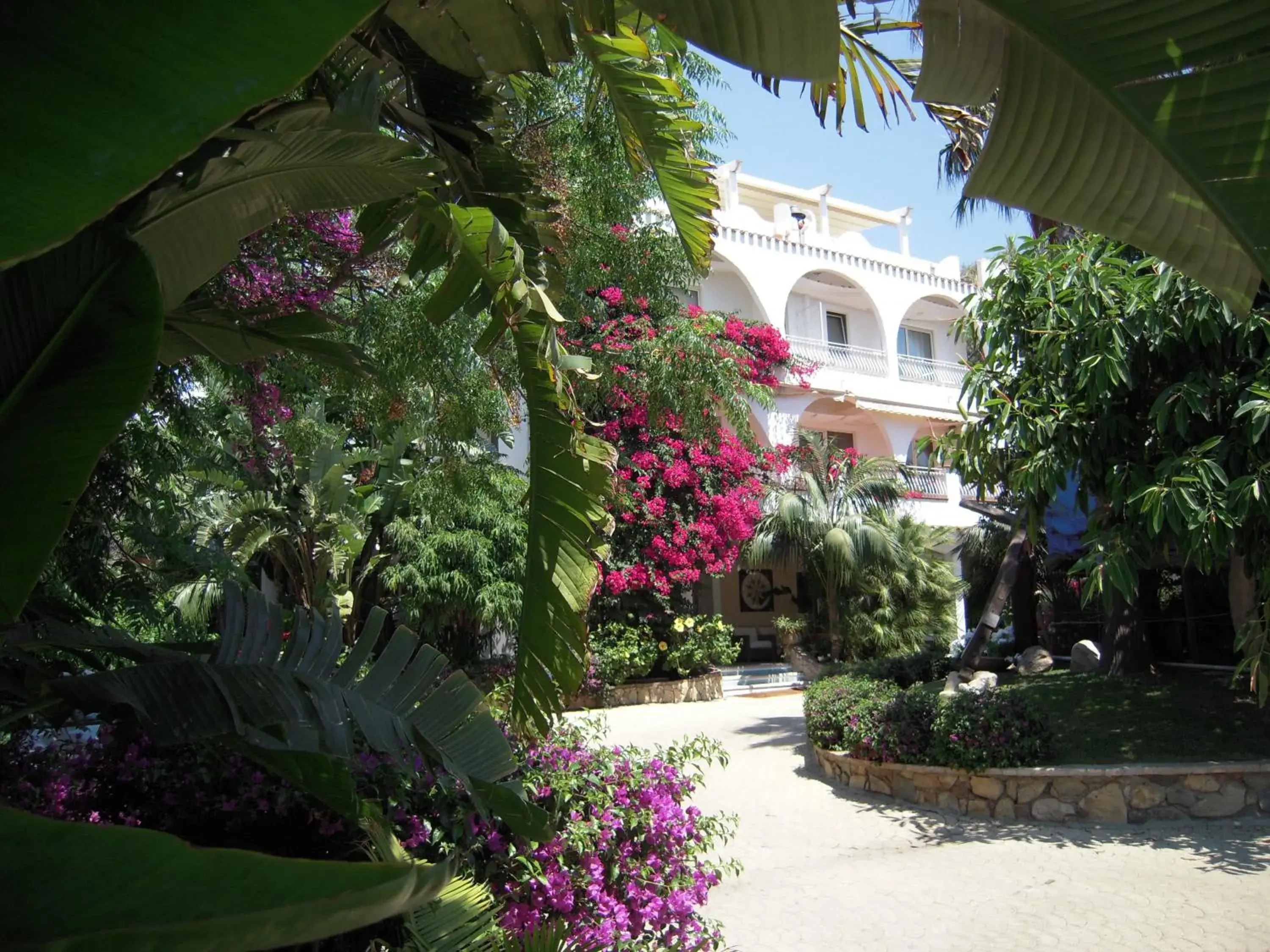 Facade/entrance in Hotel Simius Playa Facade/entrance in Hotel Simius Playa