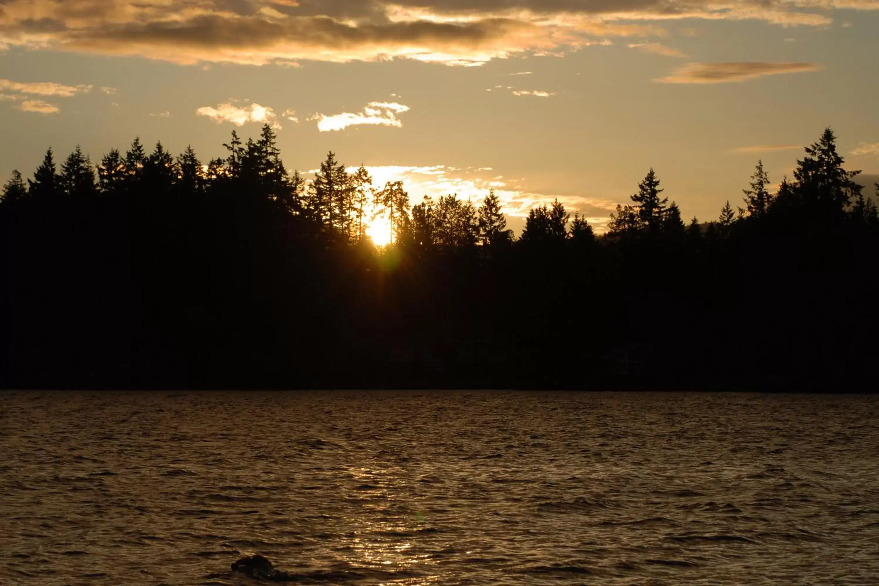 Other, Sunrise/Sunset in Shawnigan Suite B & B