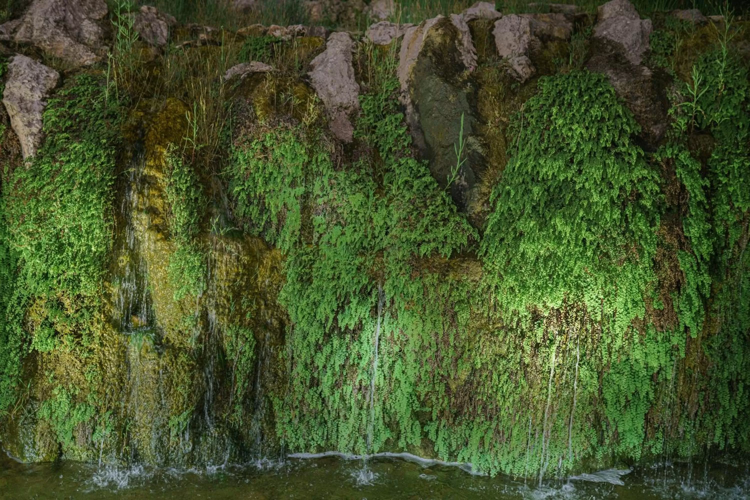 Natural landscape in Grotta Palazzese Beach Hotel