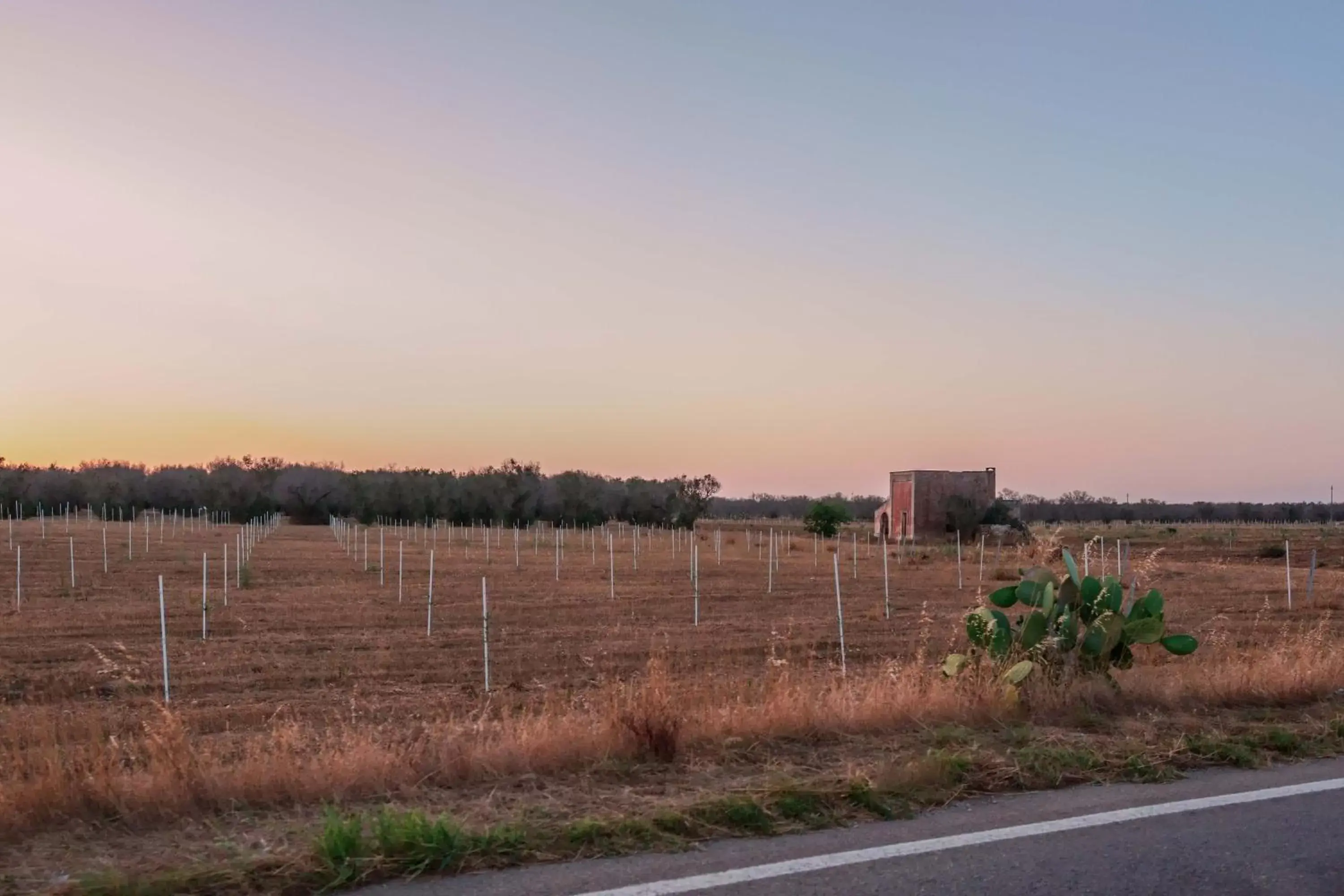 Natural landscape in Bed and Breakfast Cairoli Exclusive Room