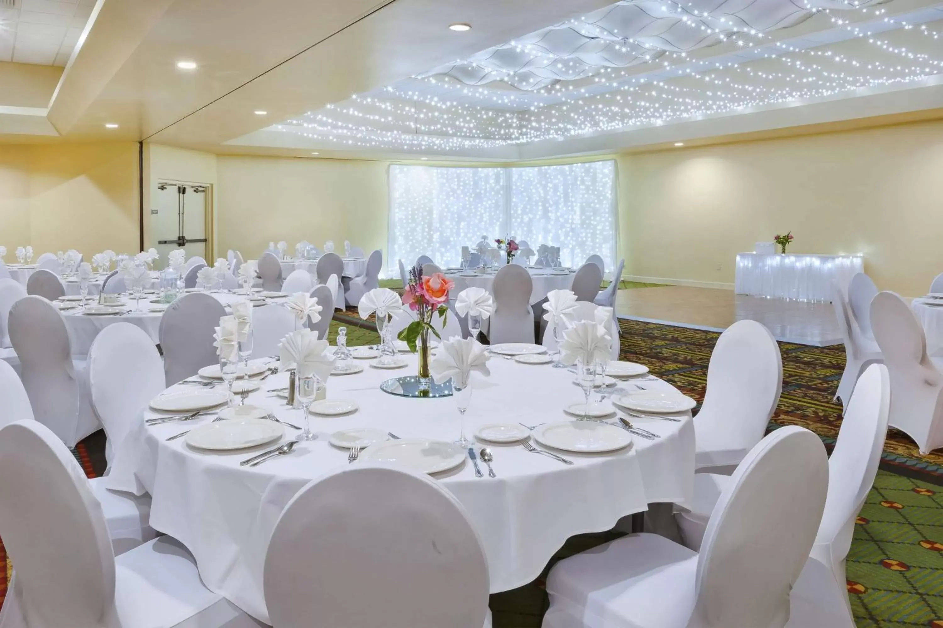 Meeting/conference room, Banquet Facilities in DoubleTree by Hilton Holland