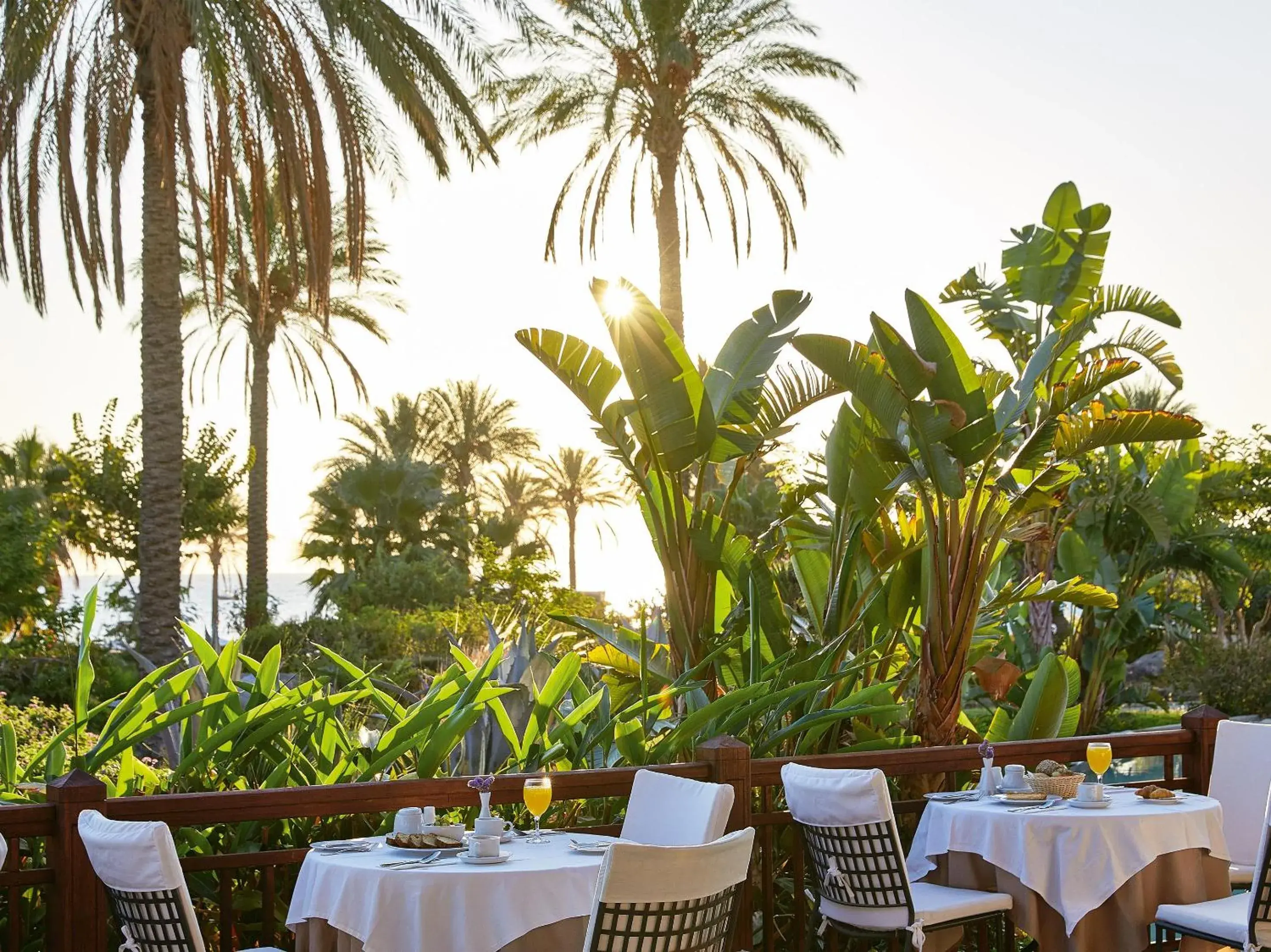 Restaurant/Places to Eat in Grecotel Kos Imperial