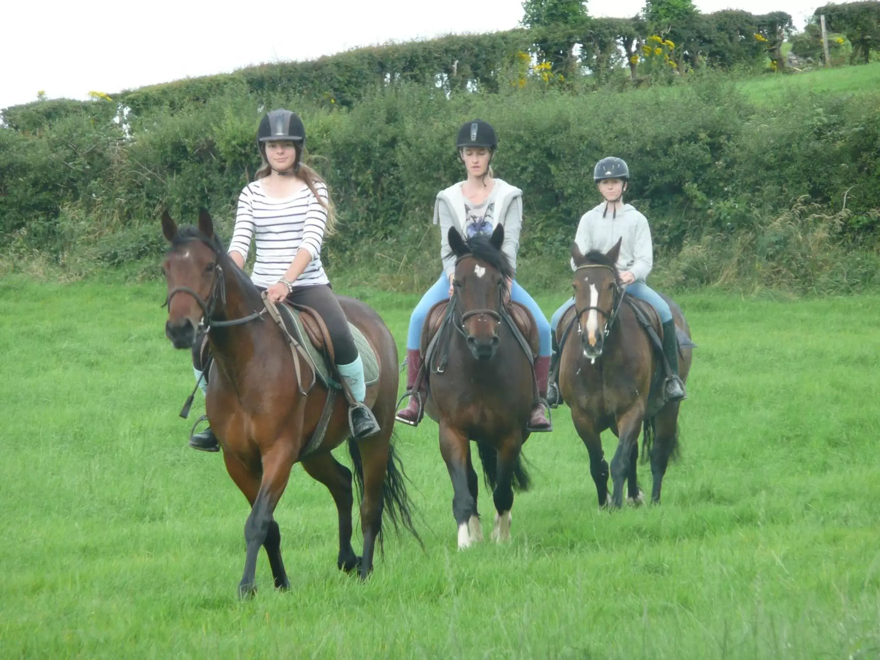 Horseback Riding in The Rock Equestrian Farm B&B