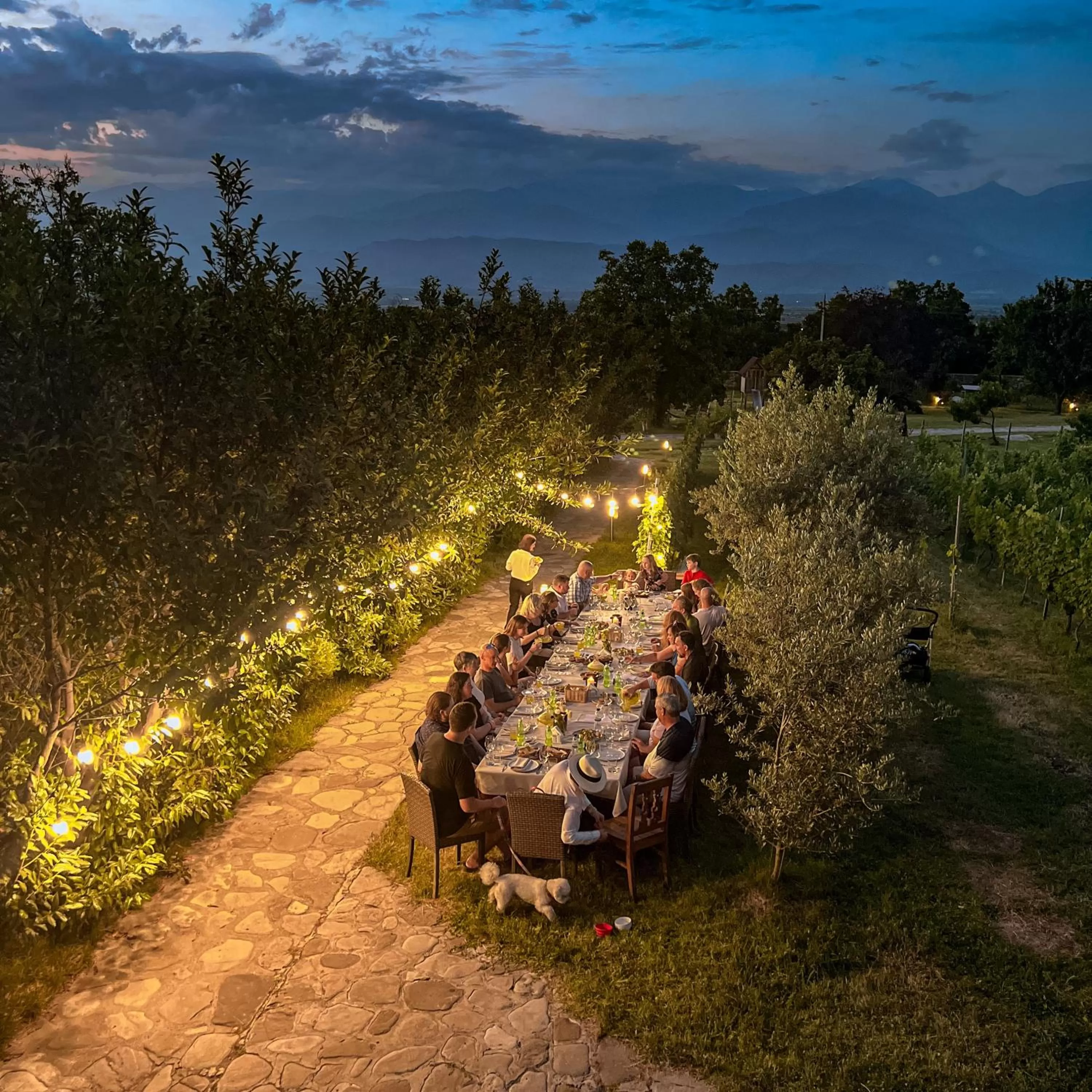 Garden in Schuchmann Wines Château,Villas & SPA