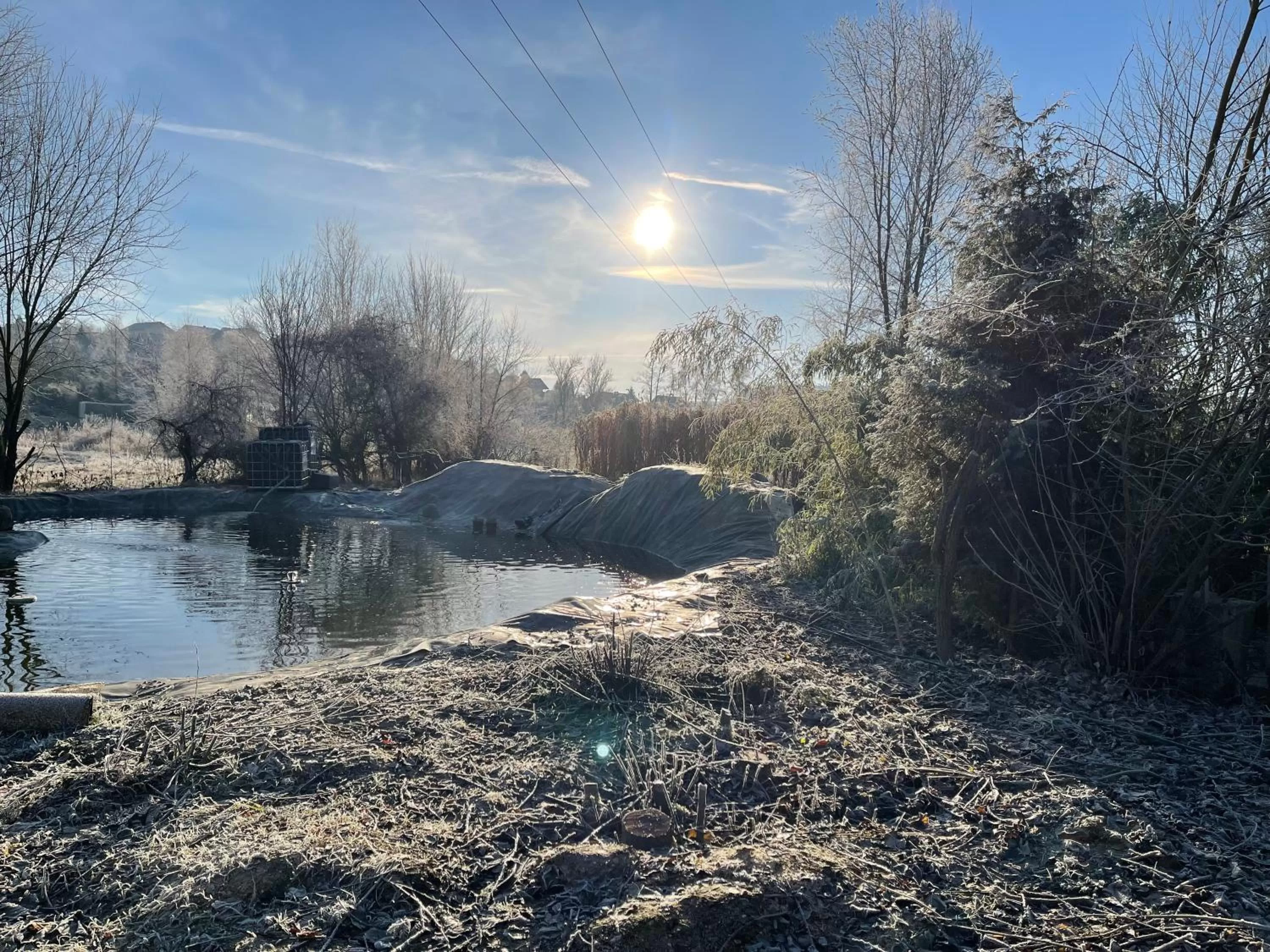 Garden in PAGA Hotel