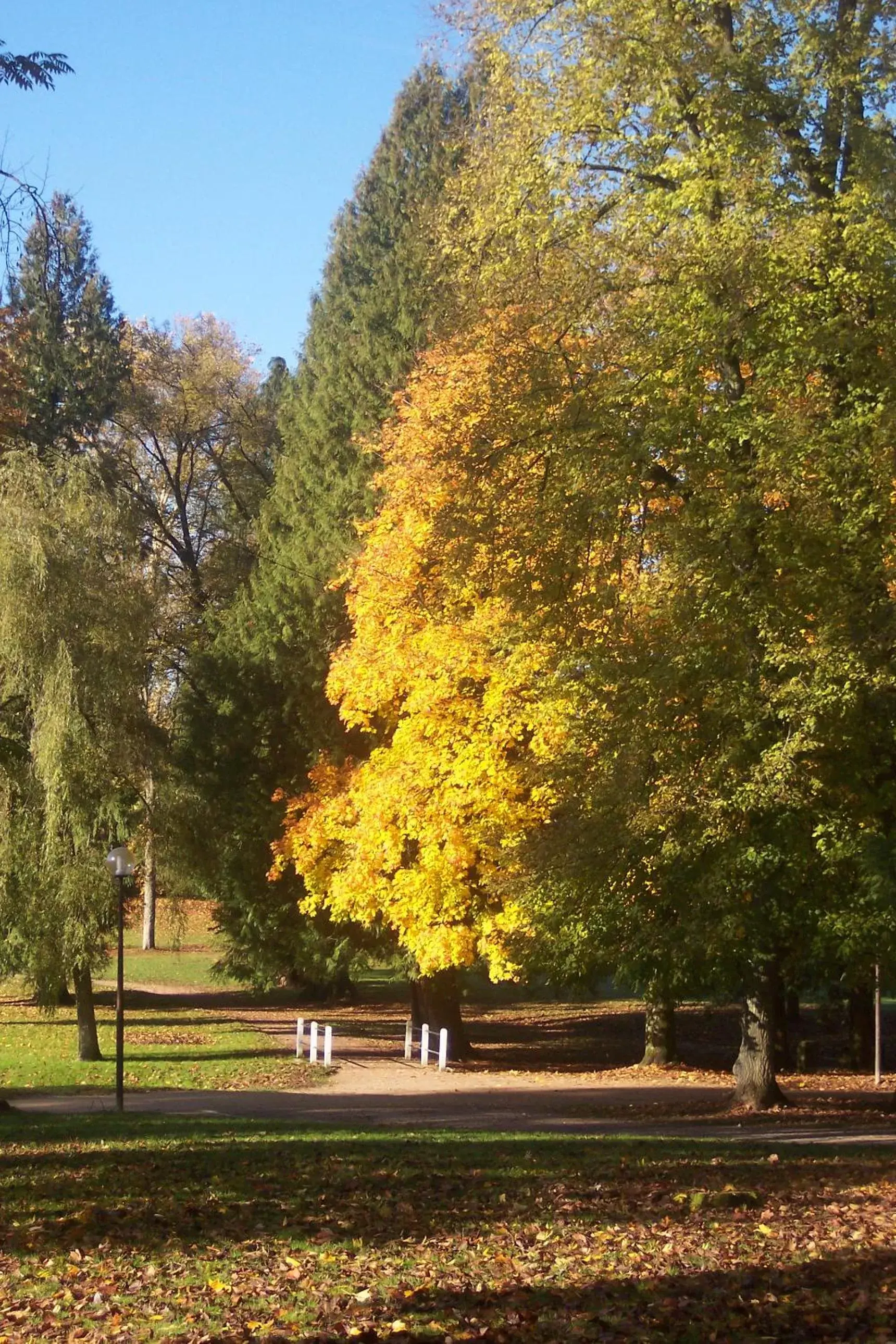 Autumn in CERISE Luxeuil Les Sources