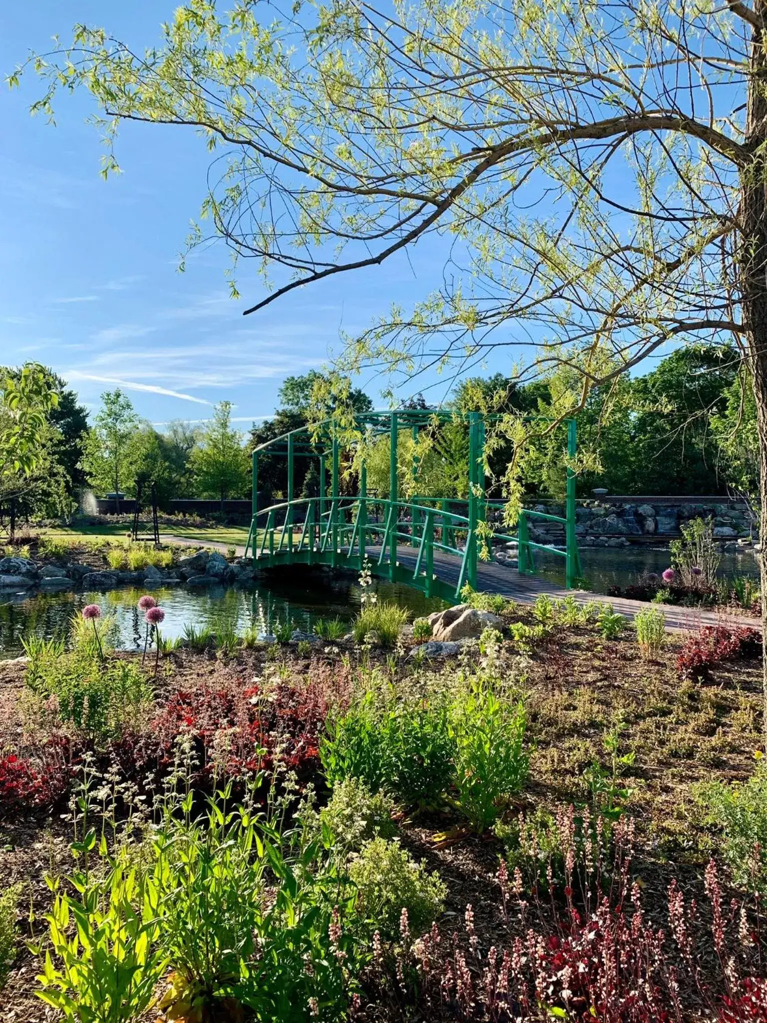 Natural Landscape in Pillar and Post Inn & Spa