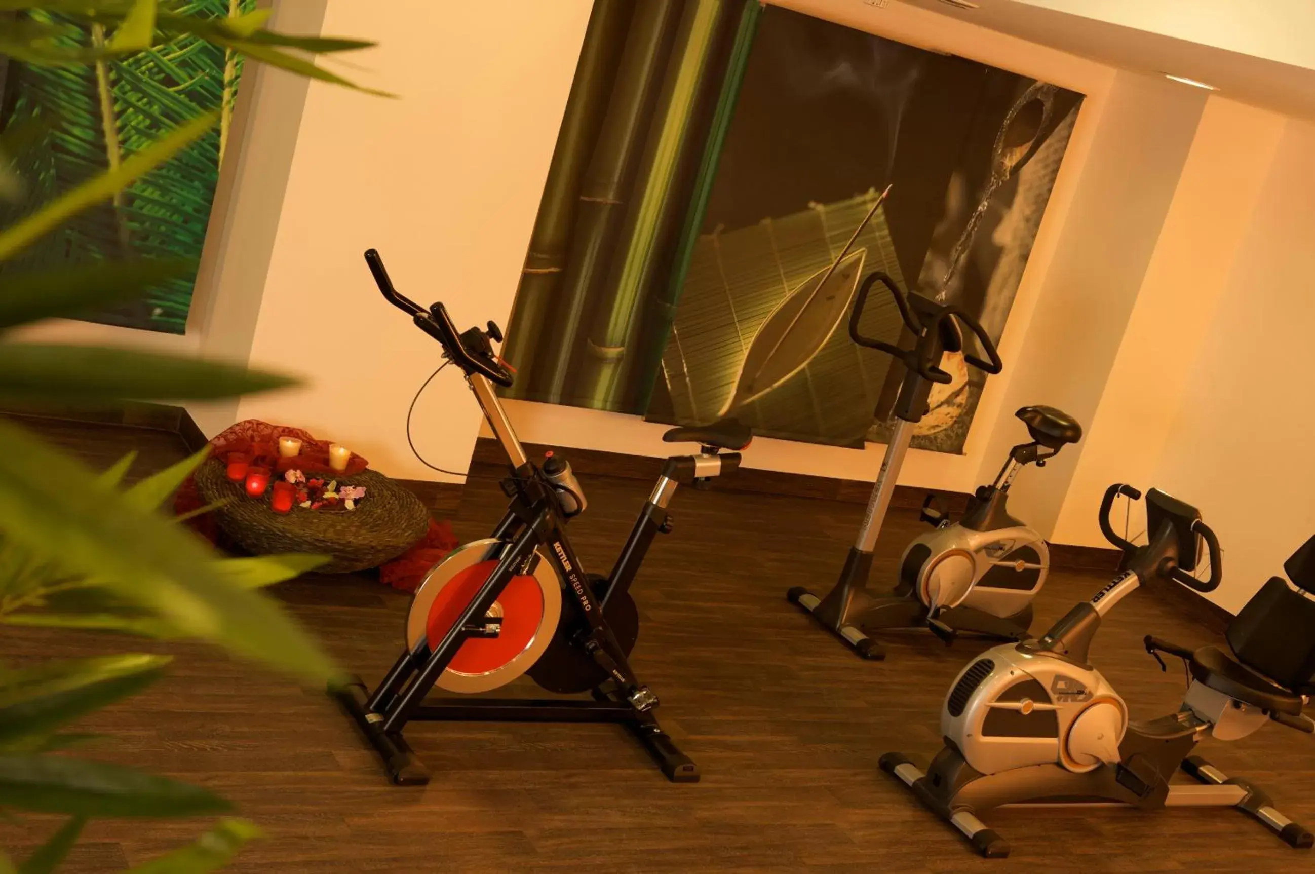 Fitness centre/facilities, Fitness Center/Facilities in Wyndham Garden Lahnstein Koblenz