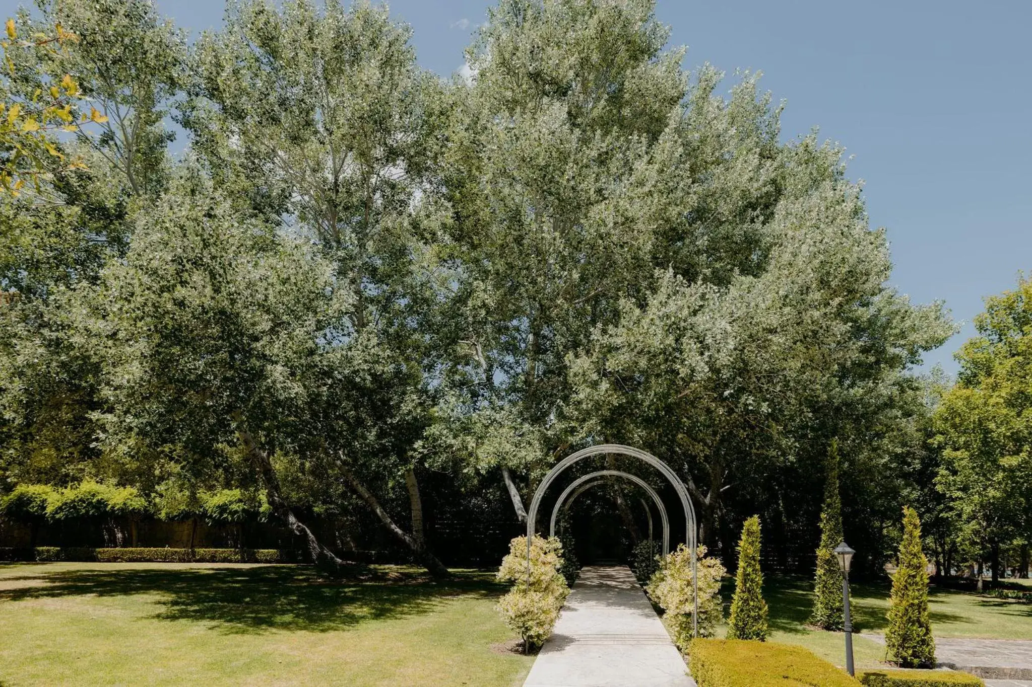 Natural landscape, Garden in Losari Retreat