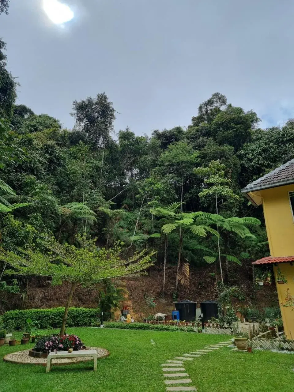 Garden in Highlanders Garden Guesthouse