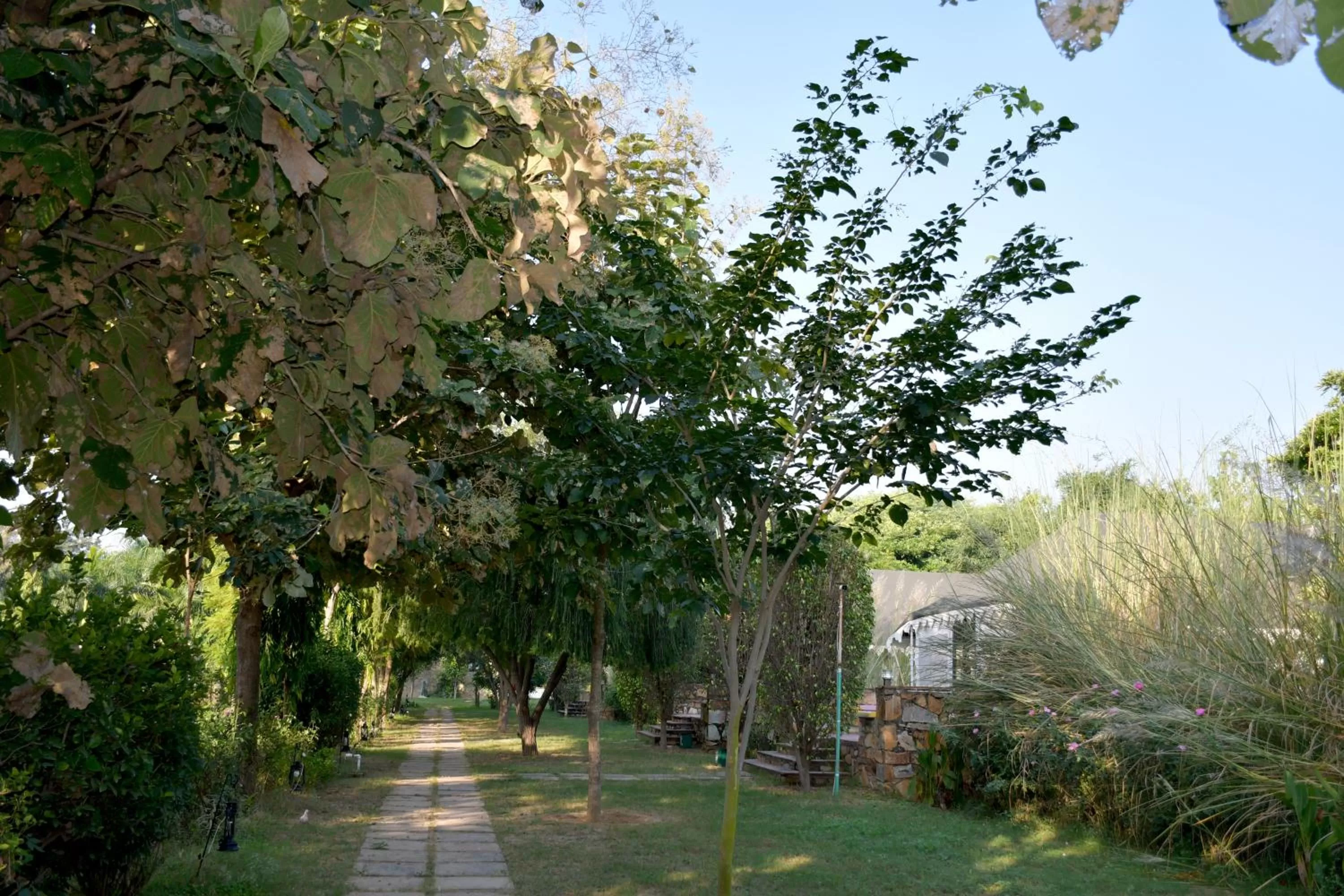 Natural landscape in Sultan Bagh Resort by The Sky Imperial