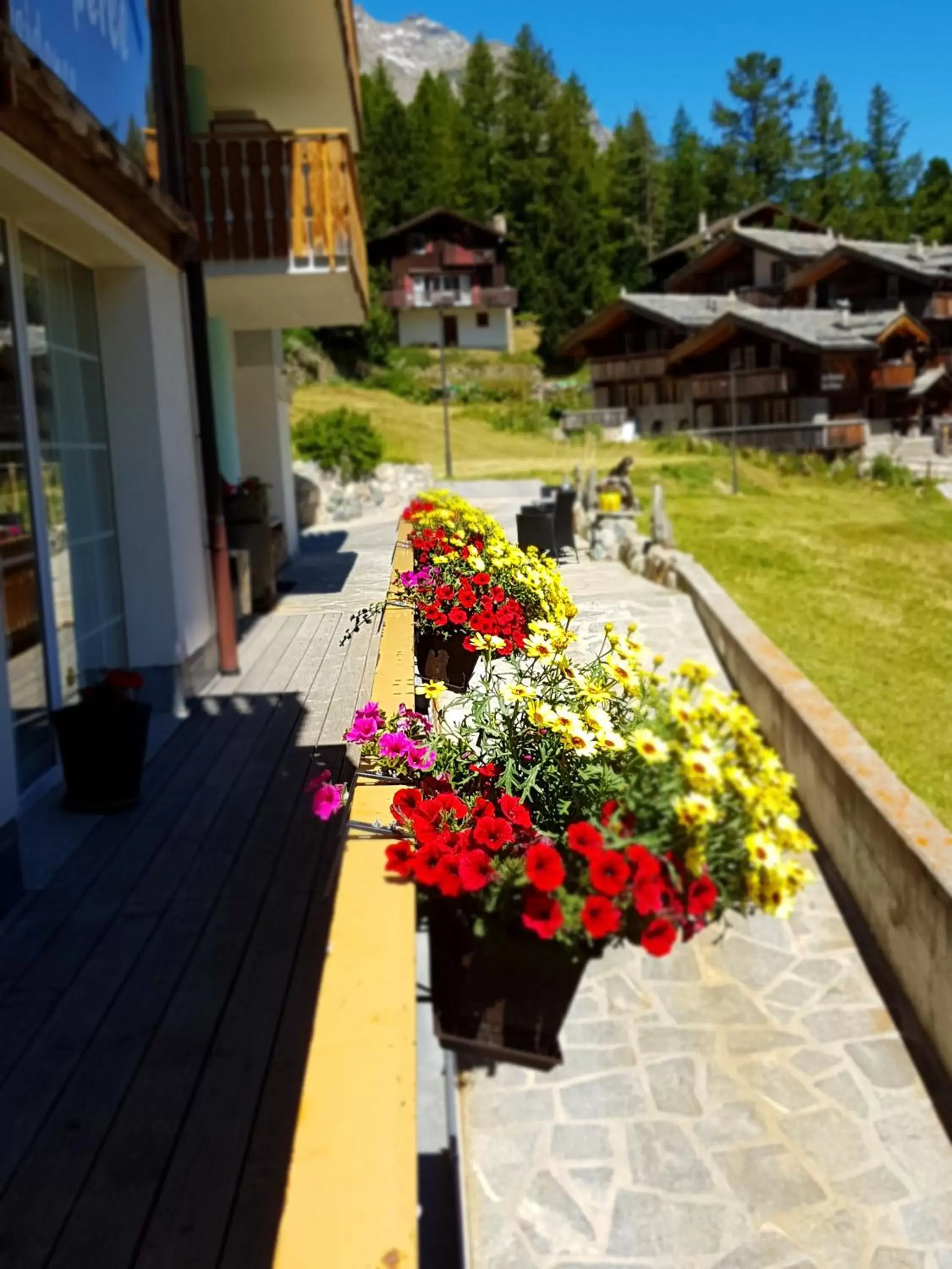 Balcony/Terrace, Patio/Outdoor Area in Hotel Alpenperle