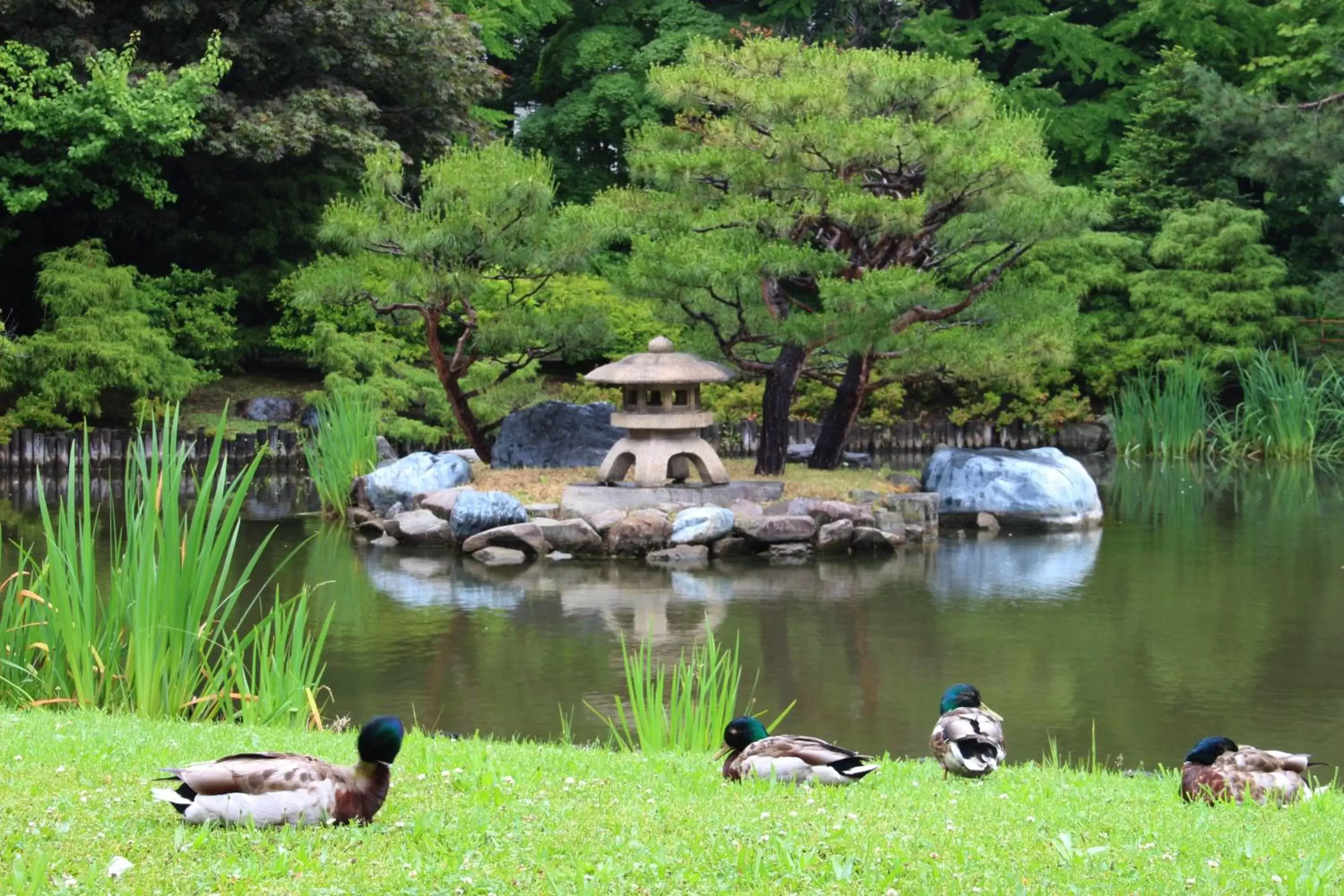 Nearby landmark, Other Animals in HOTEL MYSTAYS PREMIER Sapporo Park