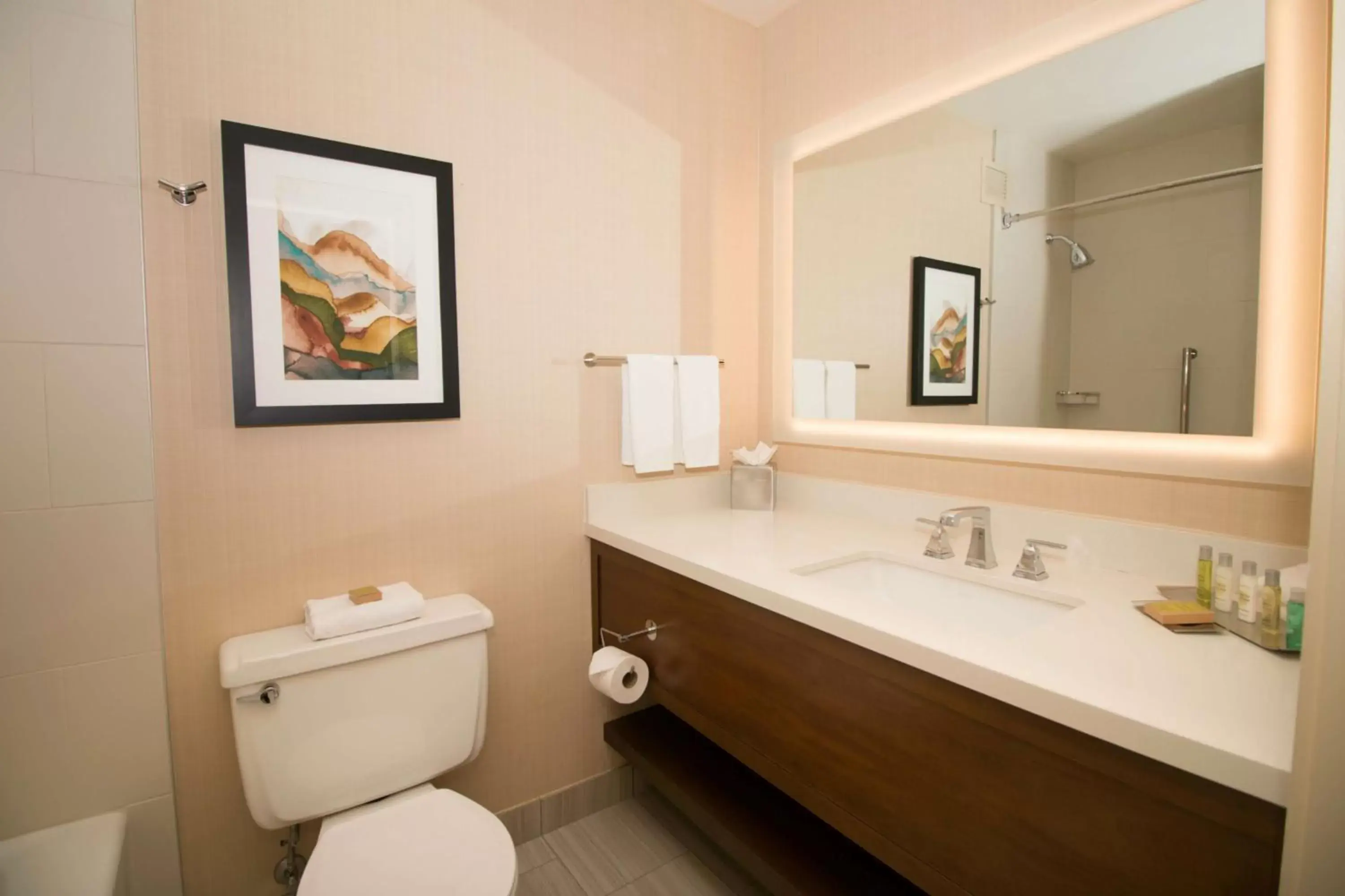 Bathroom in DoubleTree by Hilton Spokane City Center