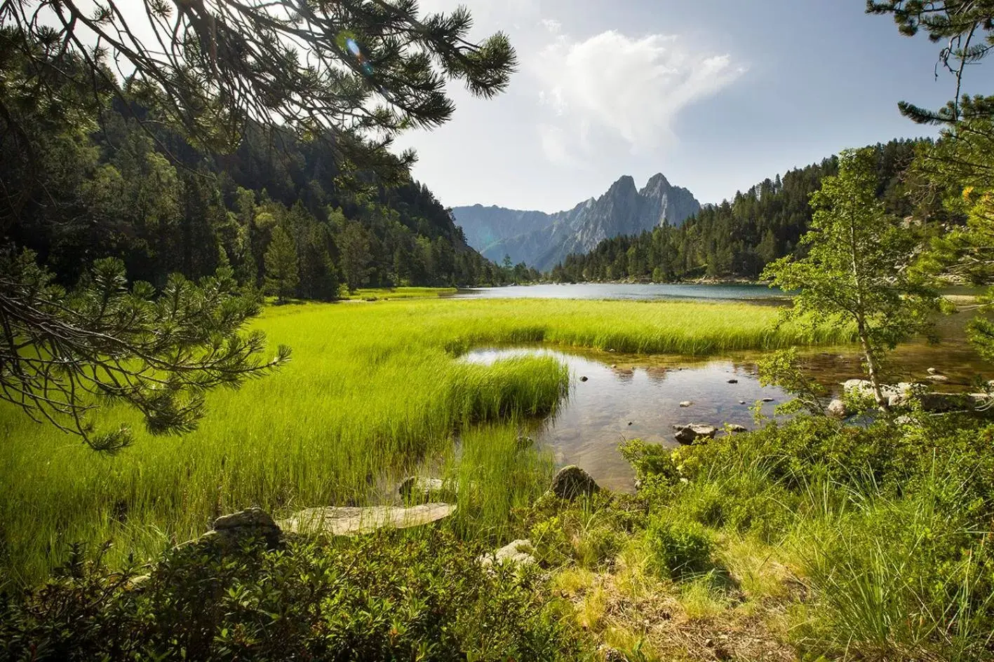 Natural landscape in Hotel Restaurant Les Brases