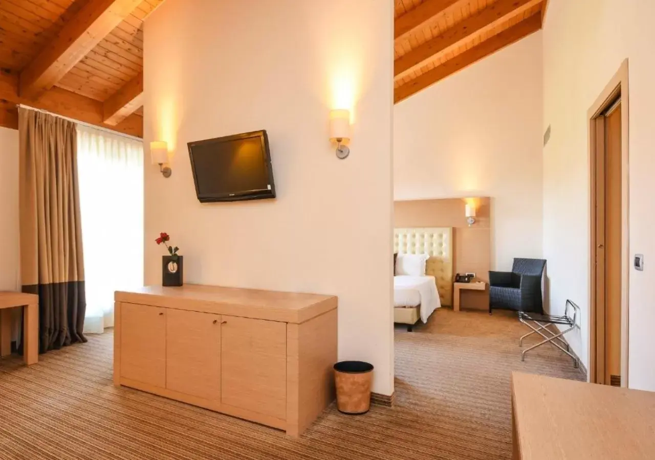 Seating area, TV/Entertainment Center in TH Lazise - Hotel Parchi Del Garda