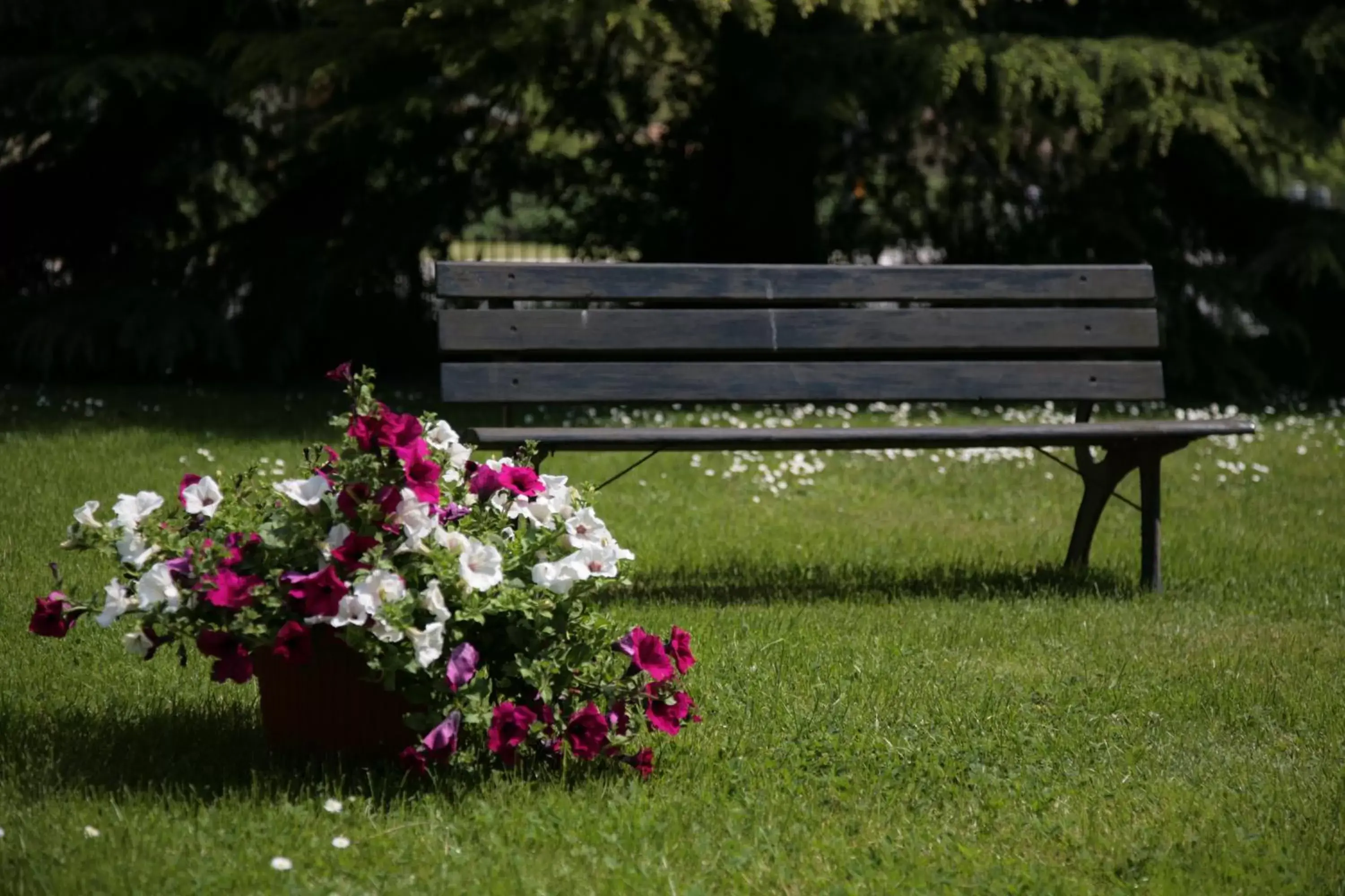 Garden in Hotel Bassetto