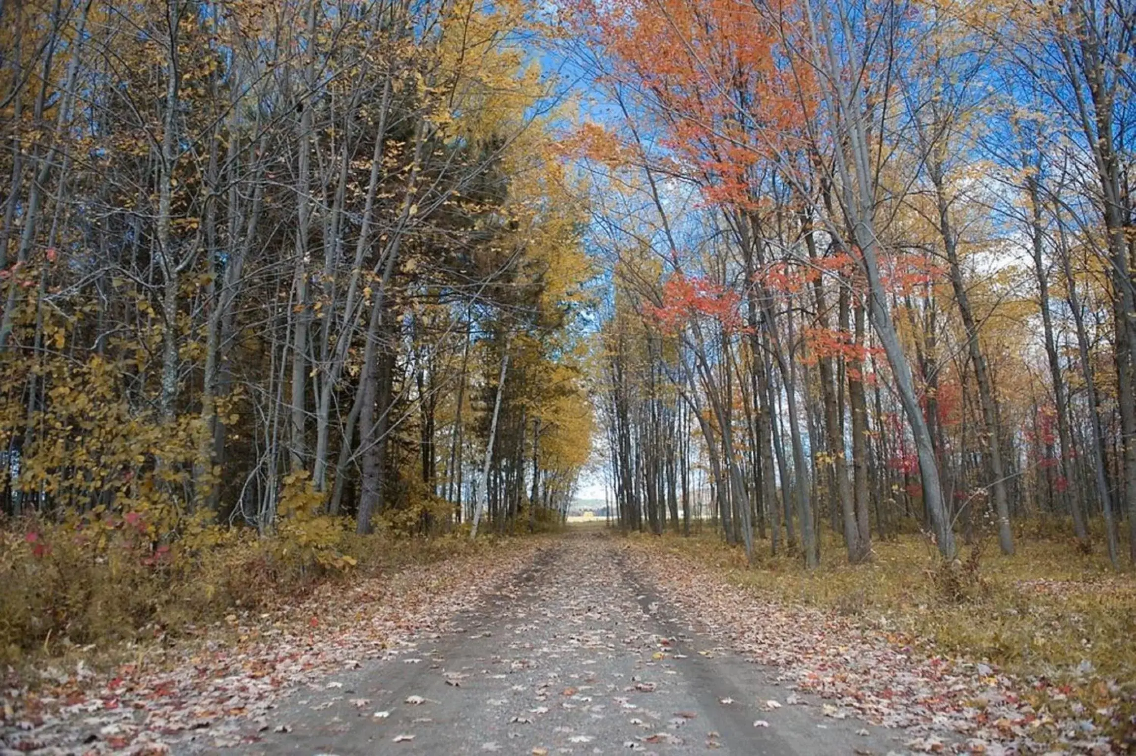 Natural landscape in Gite O'bordeleau