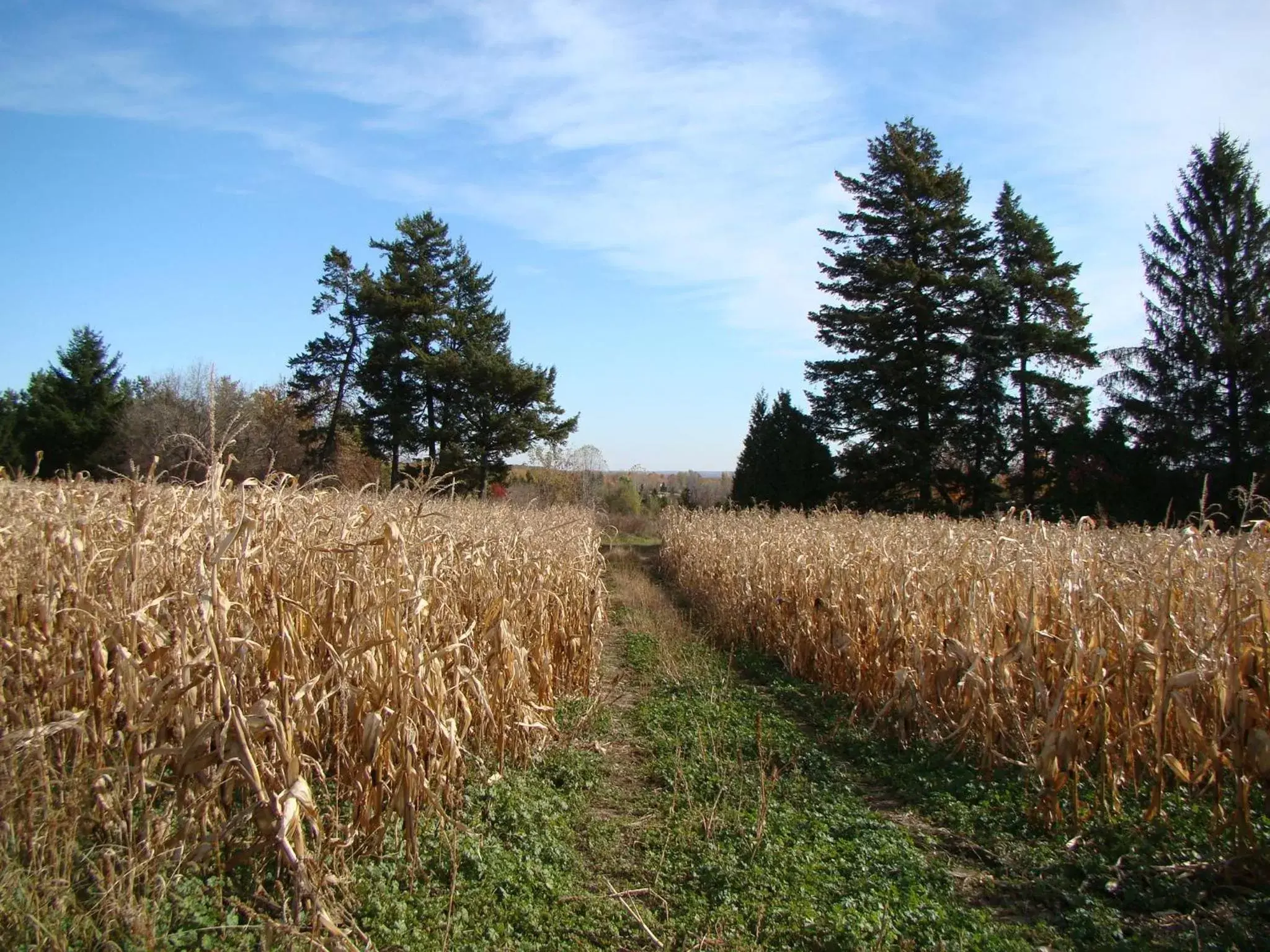 Area and facilities, Natural Landscape in Auberge de l'Abbaye d'Oka