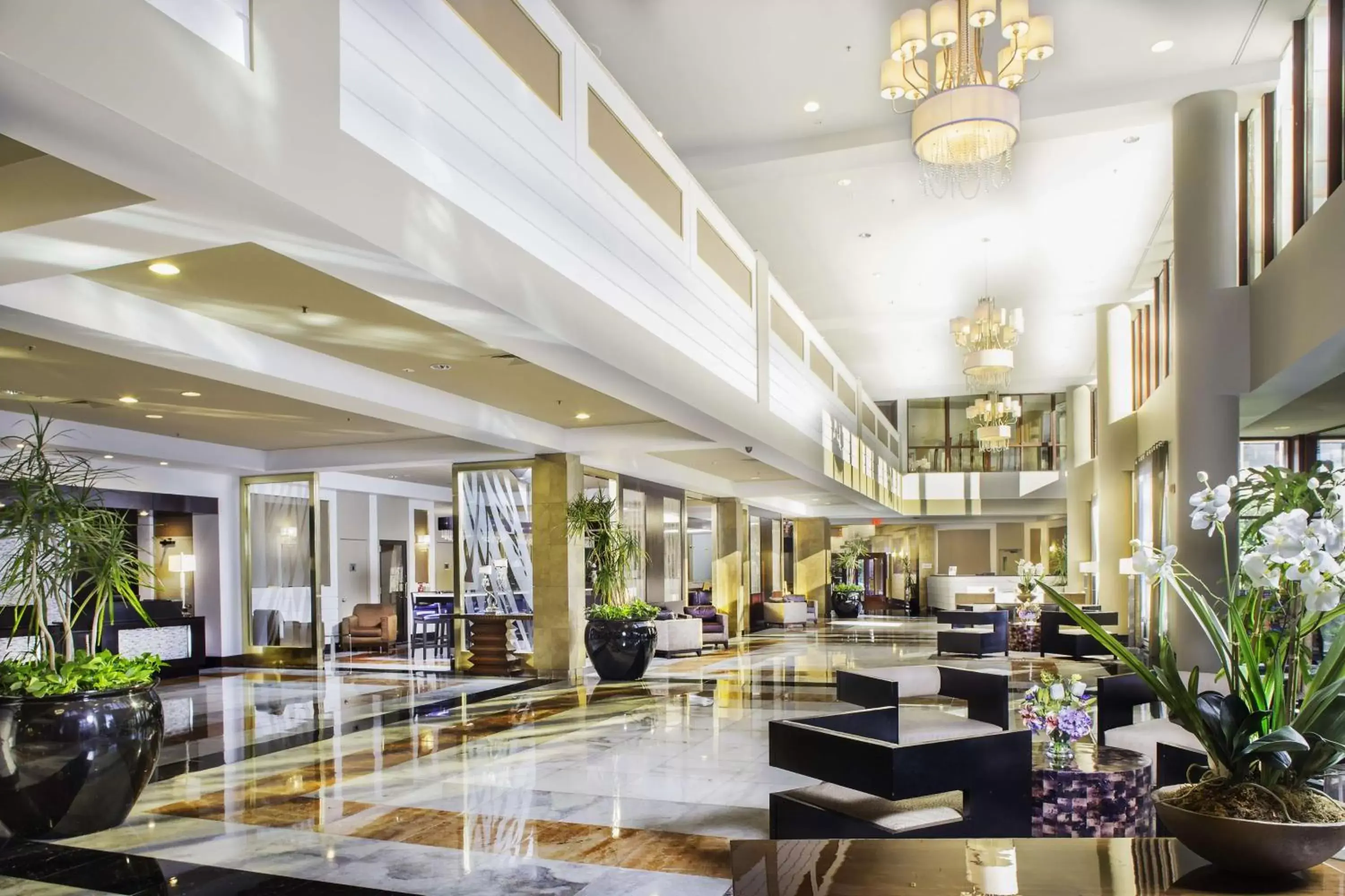 Lobby or reception, Lobby/Reception in LaGuardia Plaza Hotel