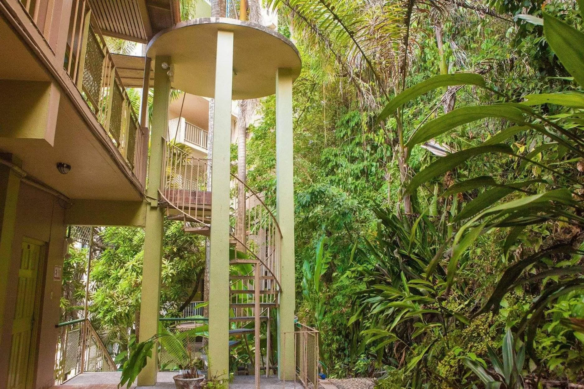 Garden in Caribic House