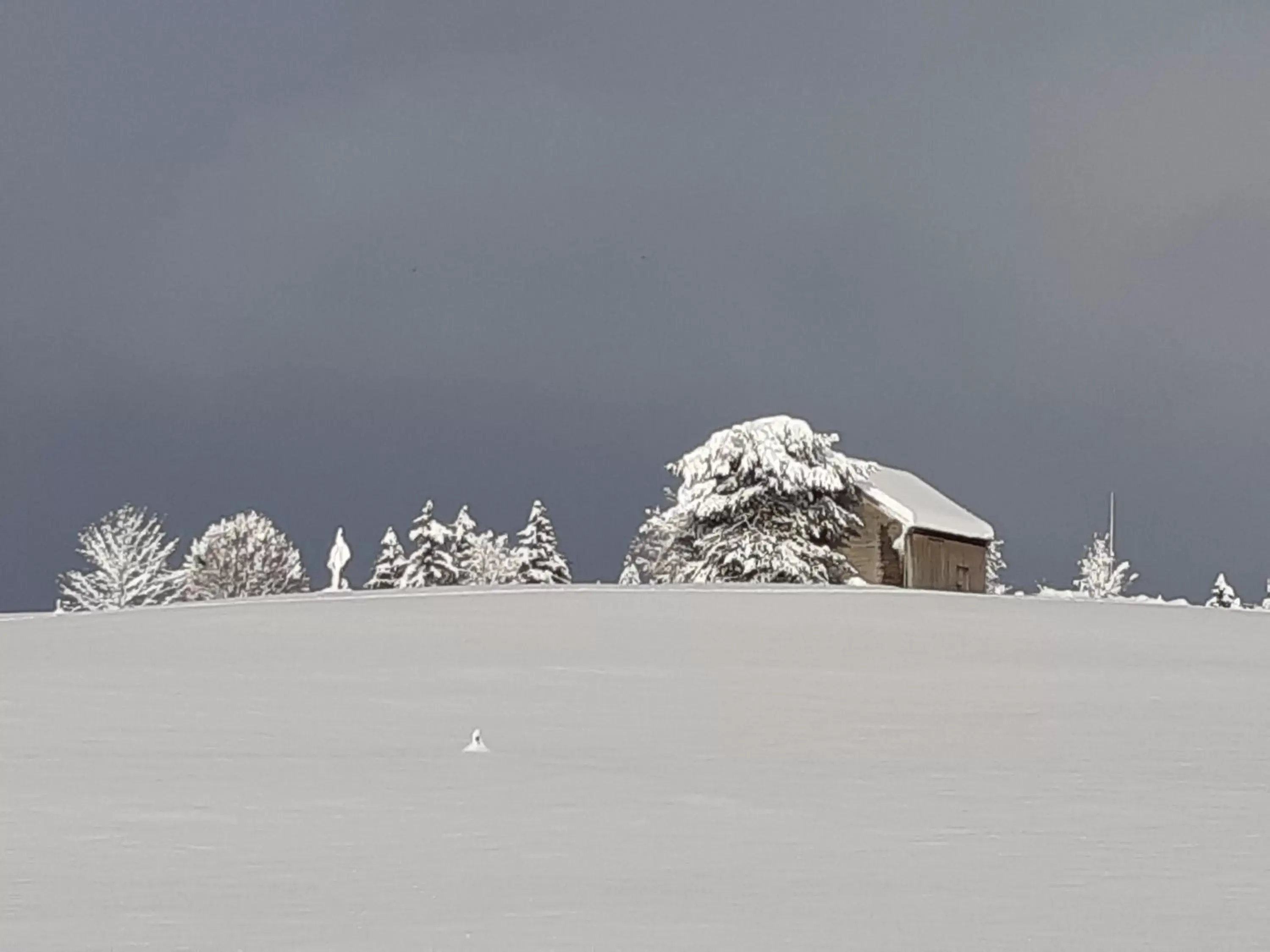 Winter in Gästehaus Aemisegg