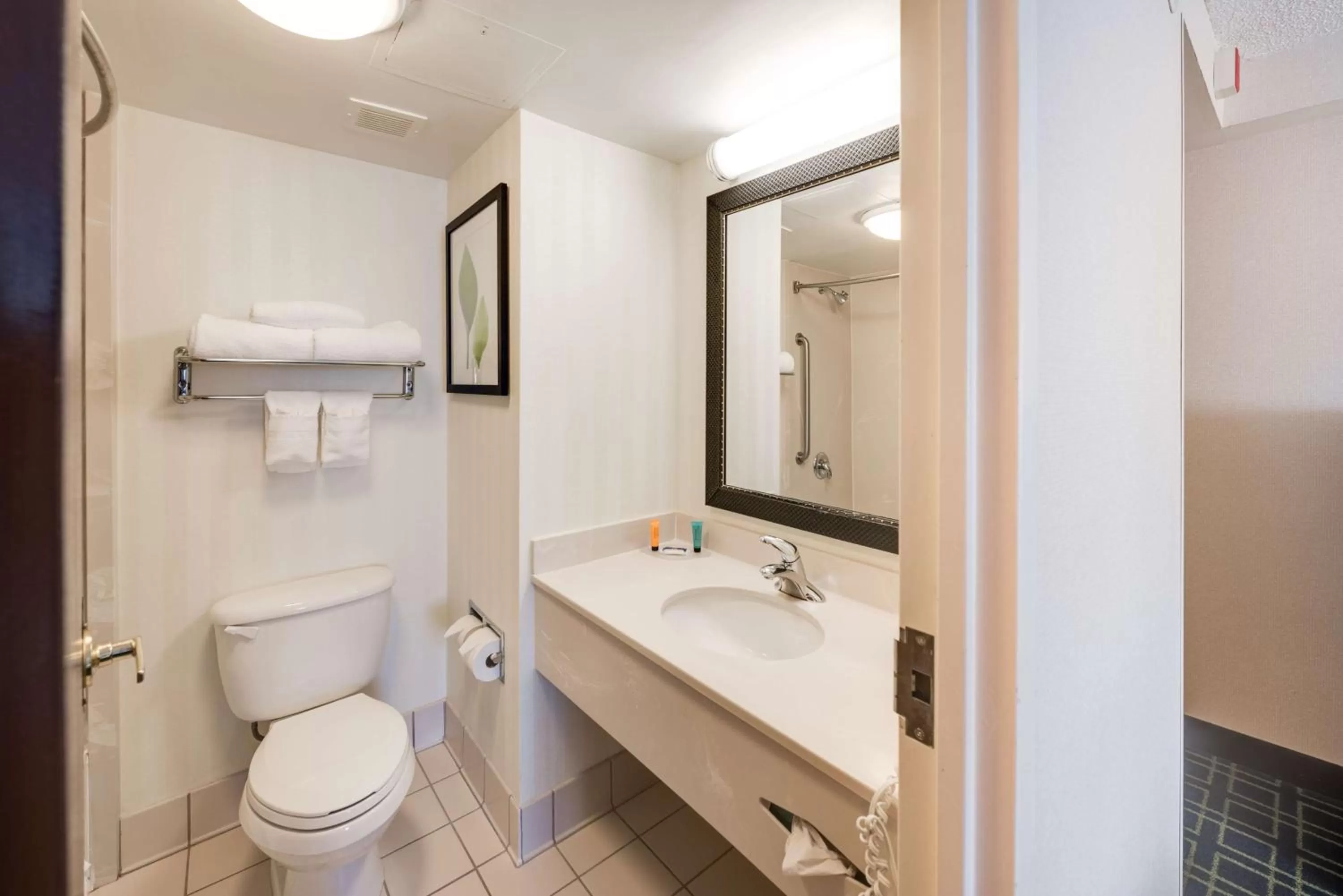 Toilet in Motel 6-Milford, CT