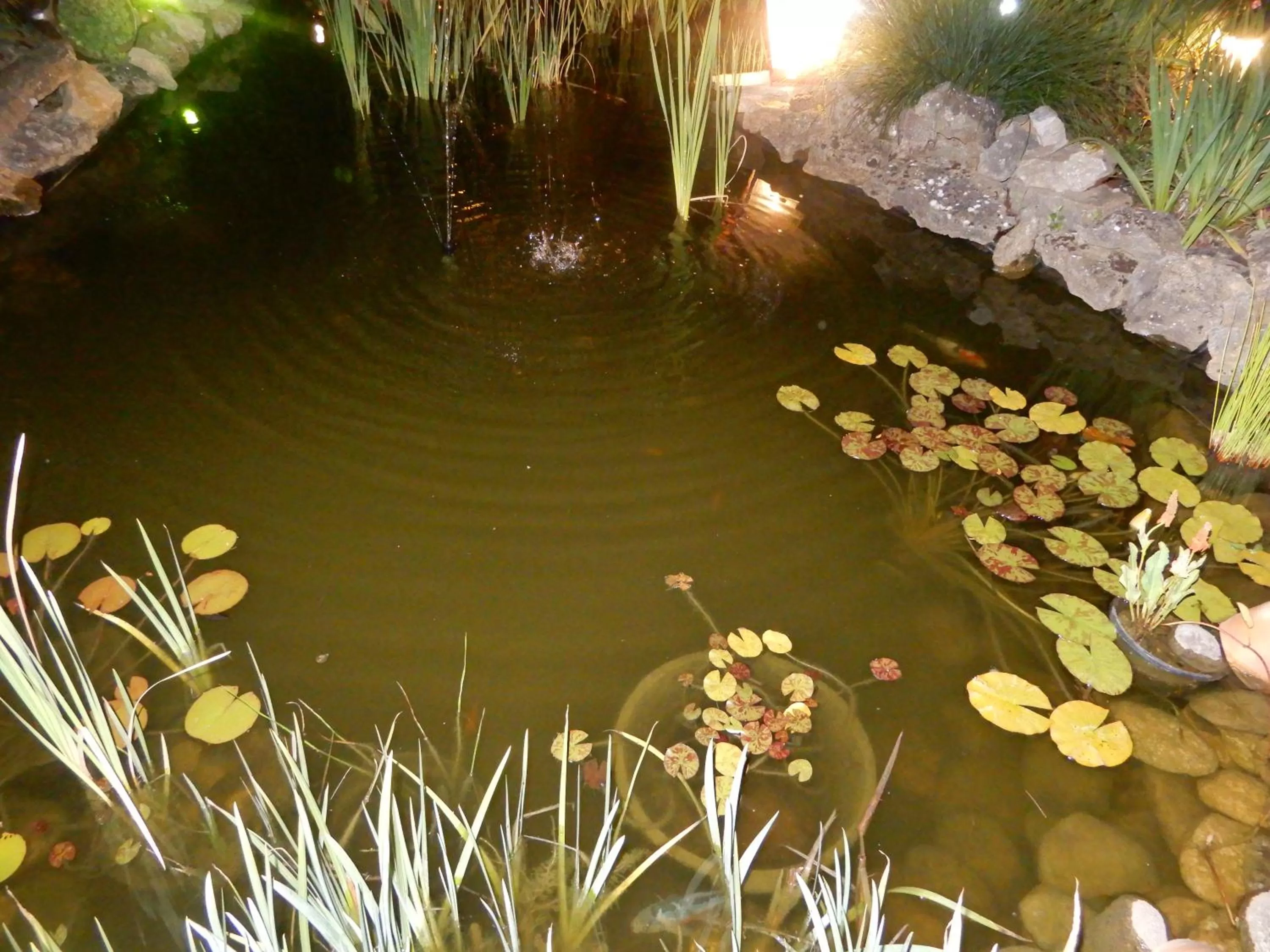 Breakfast in Chez Marie