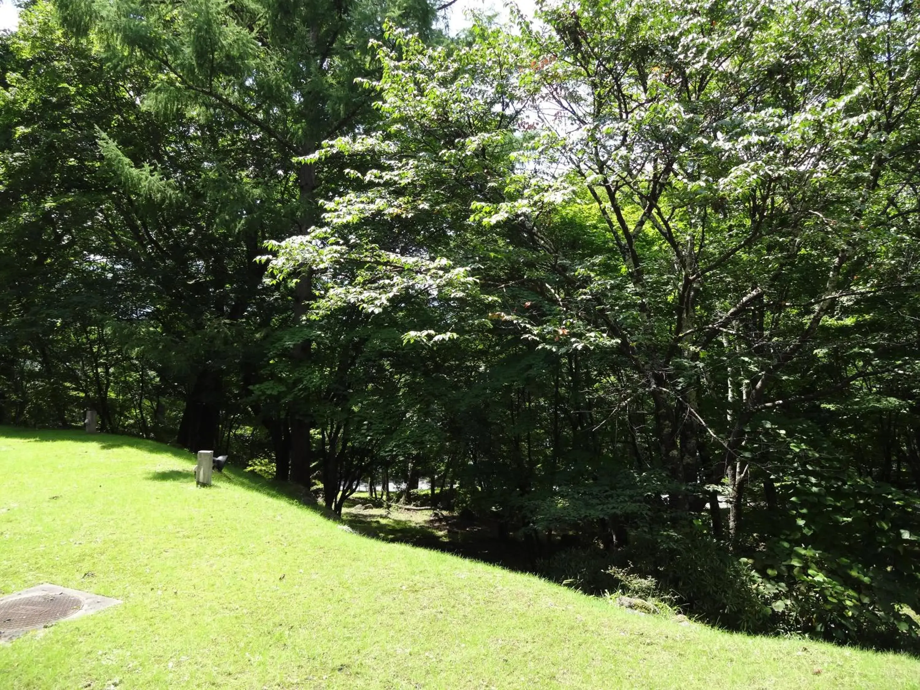 Area and facilities, Garden in Chuzenji Kanaya Hotel