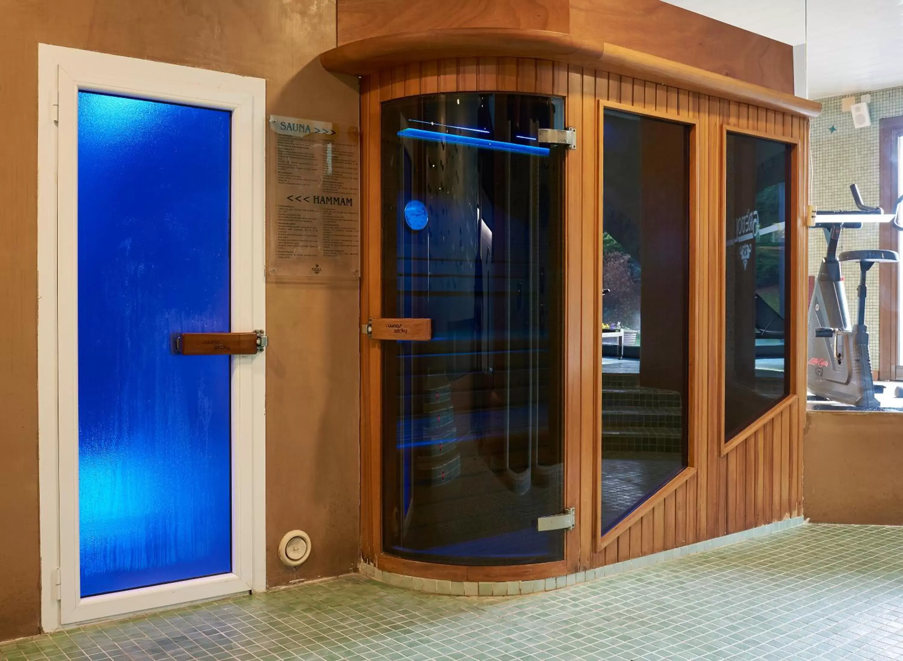 Sauna, Bathroom in Hotel Grèvol Spa