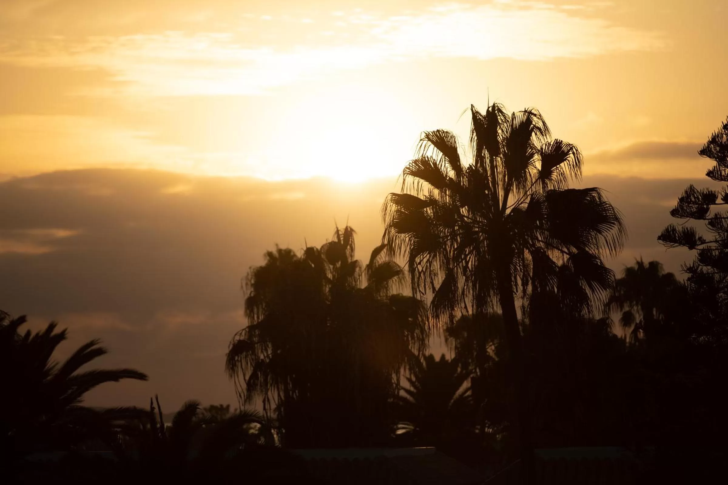 Natural landscape in Fuentepark Apartments