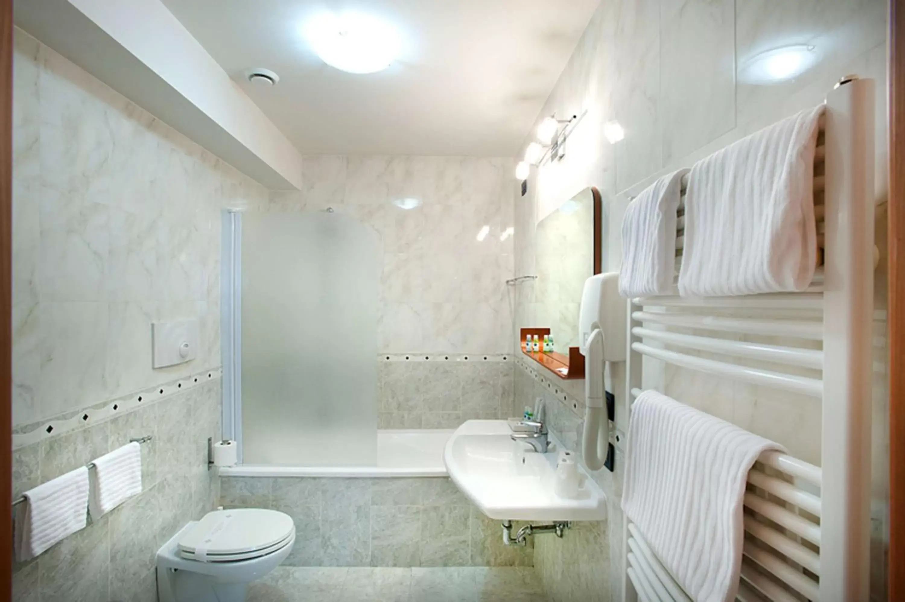 Toilet, Bathroom in Best Western Blu Hotel Roma
