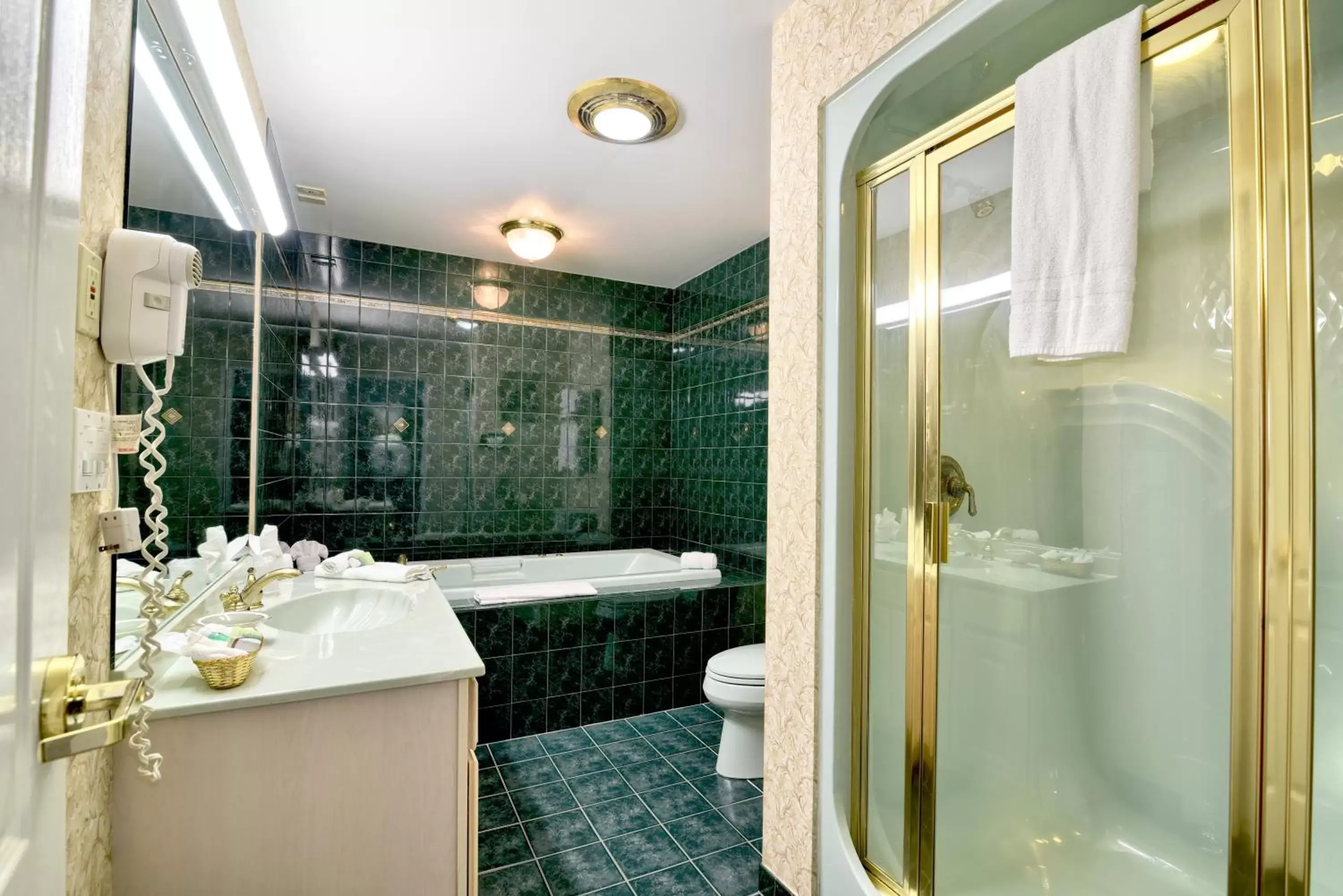 Bathroom in Roosevelt Inn & Suites Saratoga Springs