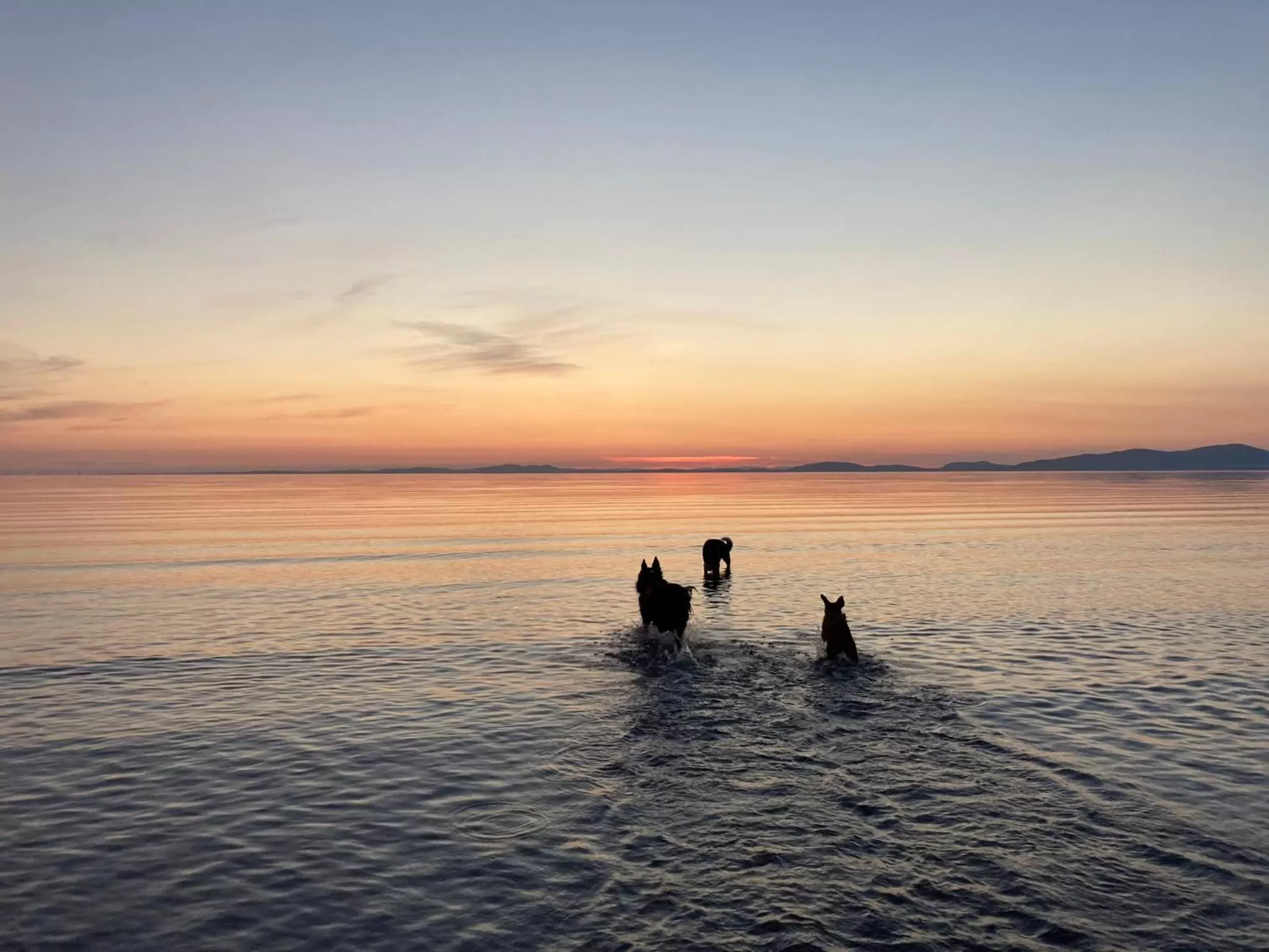 Beach in Maple Bank Country Guest House