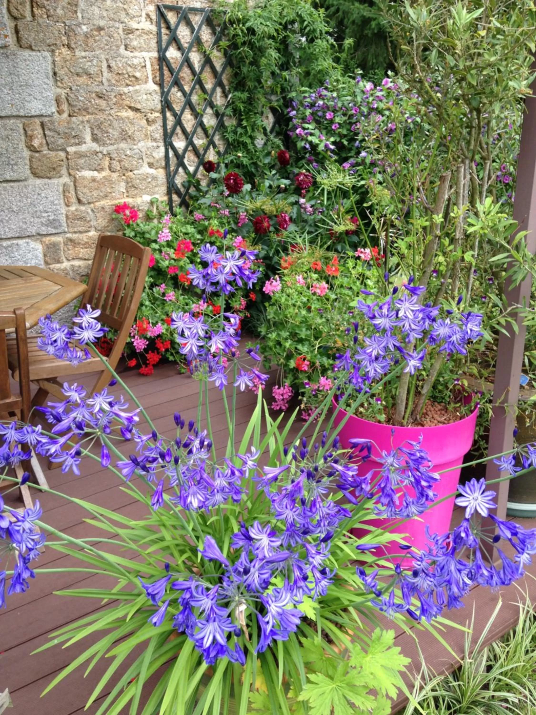 Balcony/Terrace in Chambres d'hôtes Le Bas Rassinoux