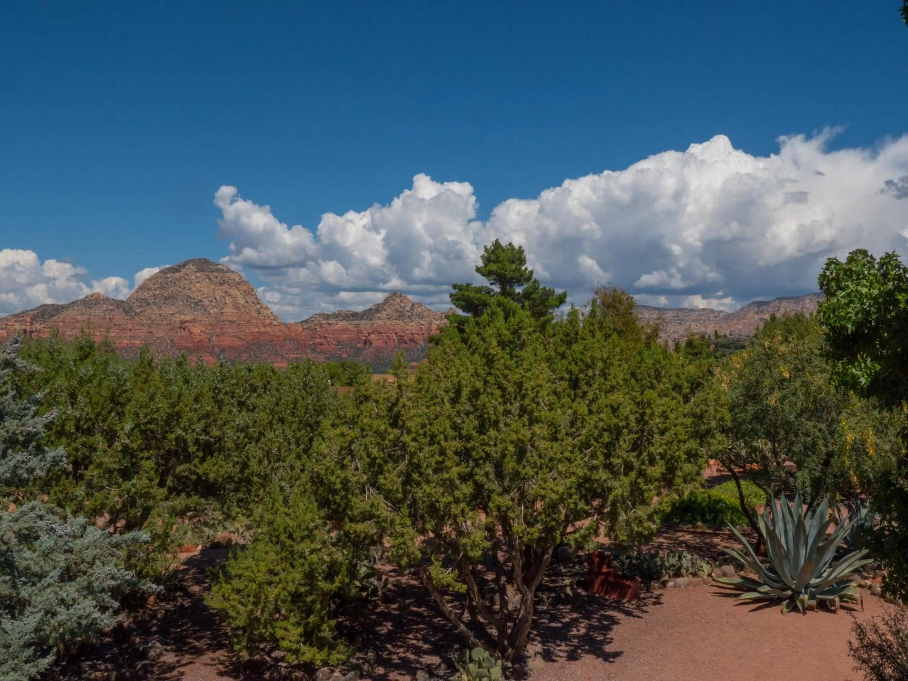 View (from property/room) in Sky Ranch Lodge