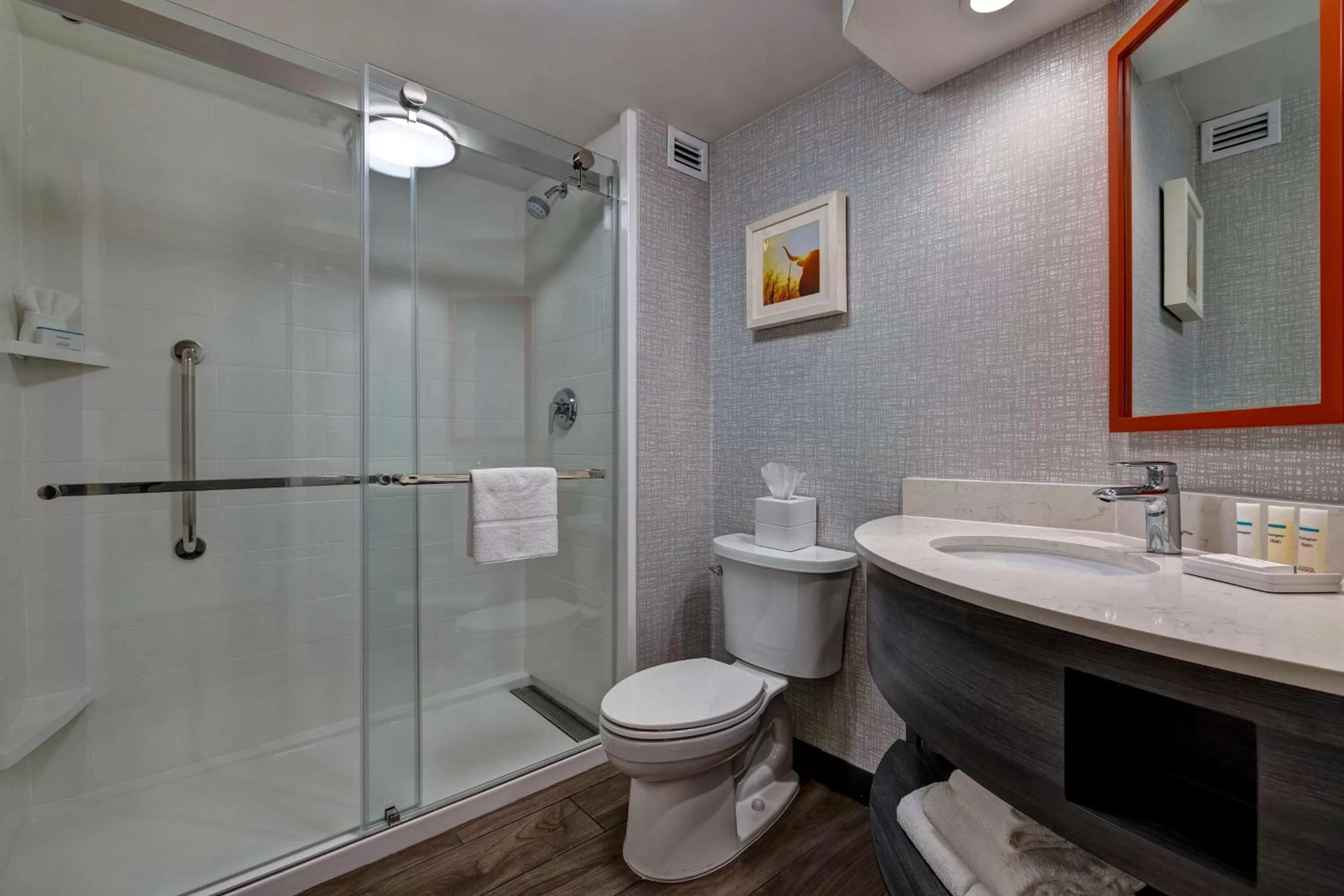 Bathroom in Hampton Inn San Antonio Downtown