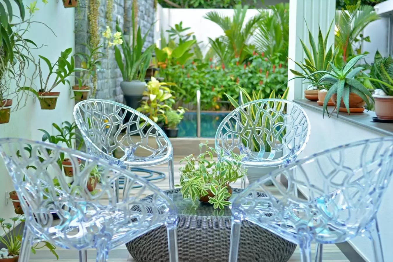 Restaurant/places to eat in Negombo New Queen's Palace